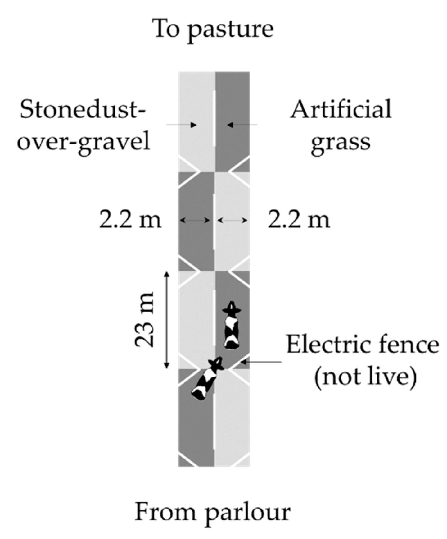 Animals 09 00891 g002