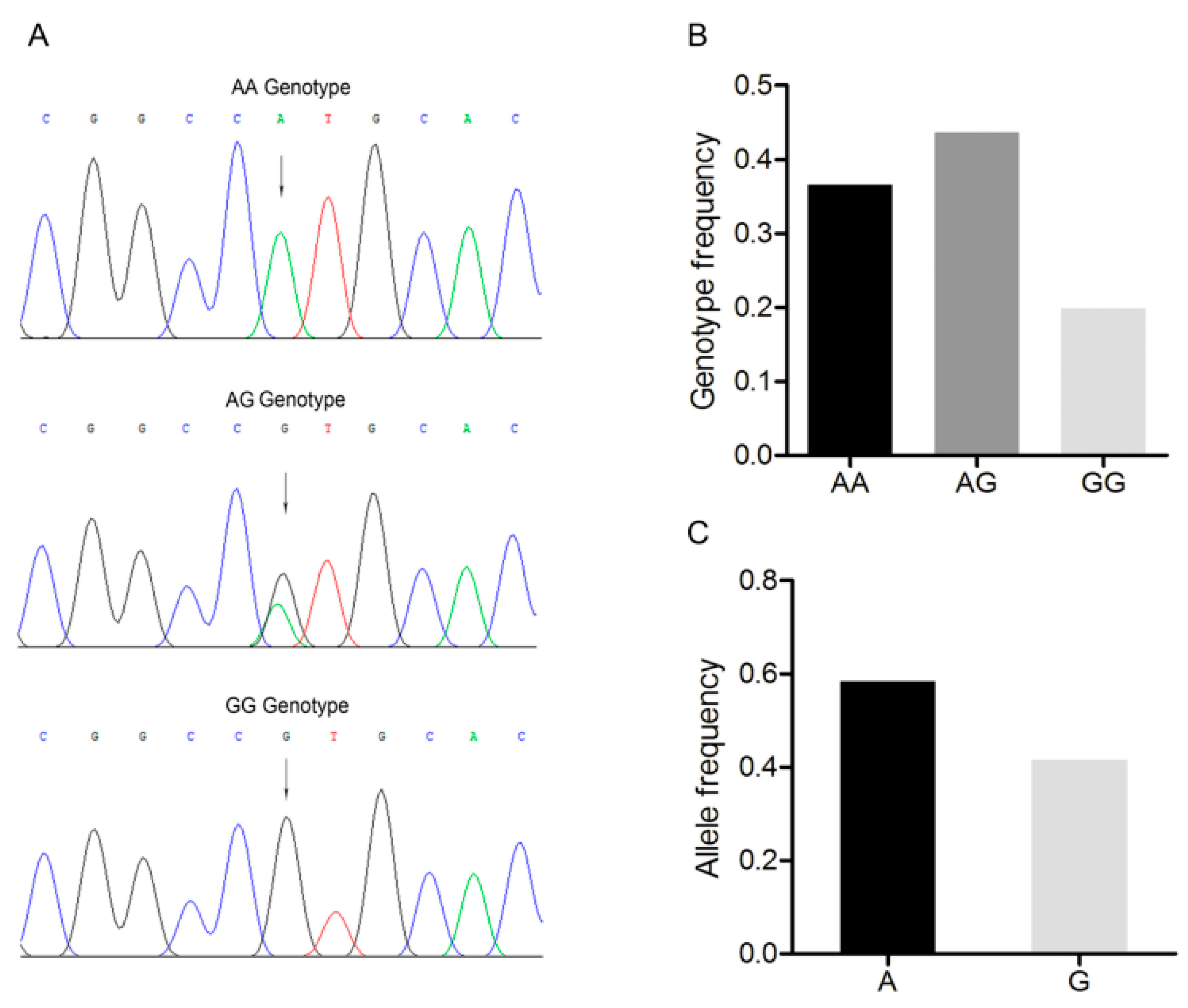 Animals 09 00905 g002