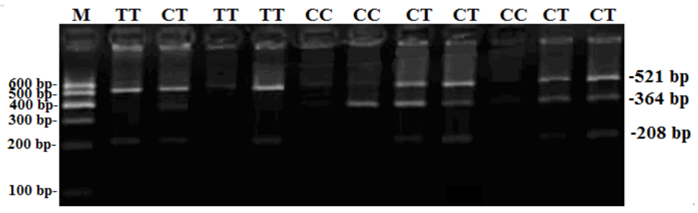 Animals 09 00910 g001