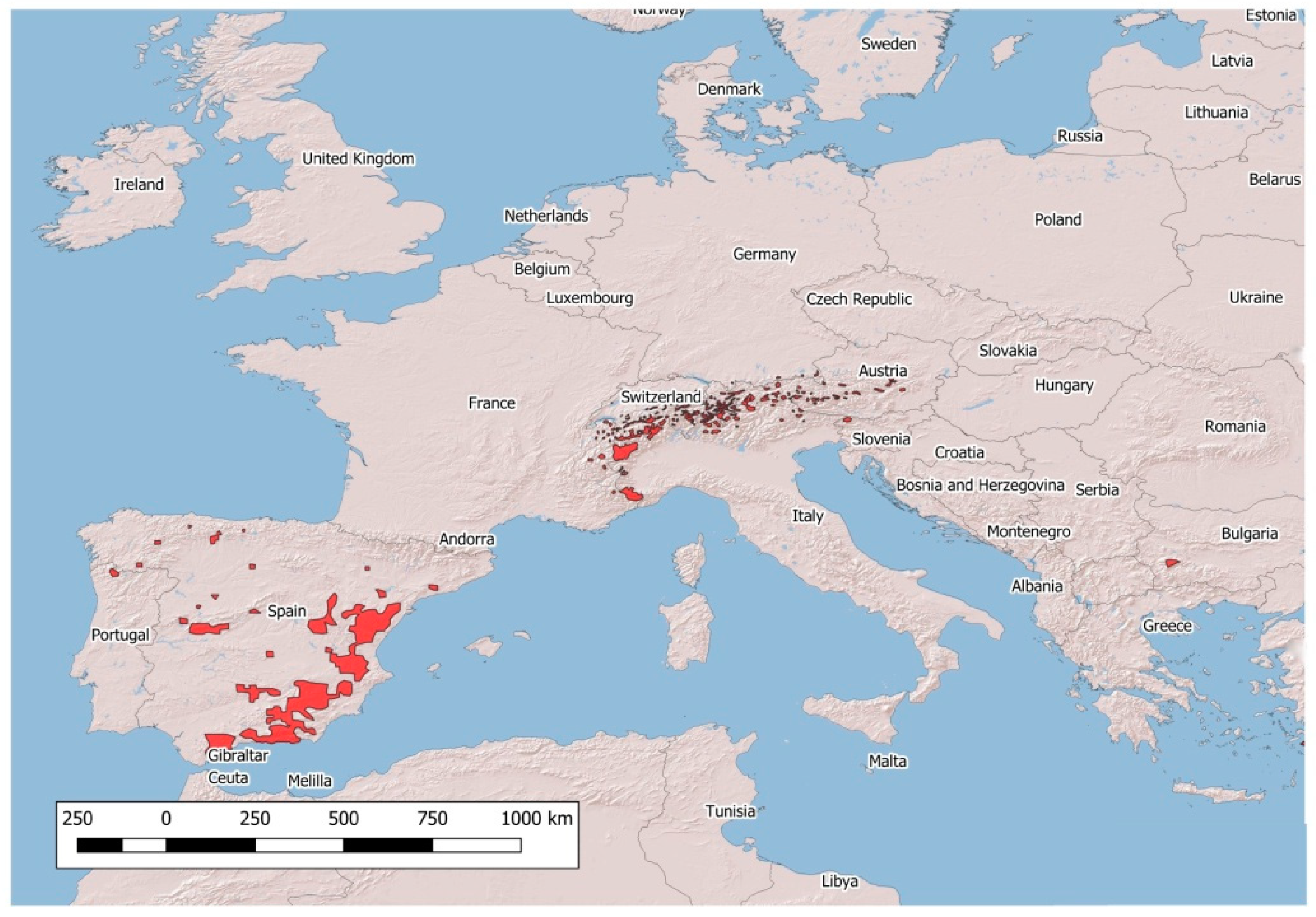 Animals 09 00922 g001
