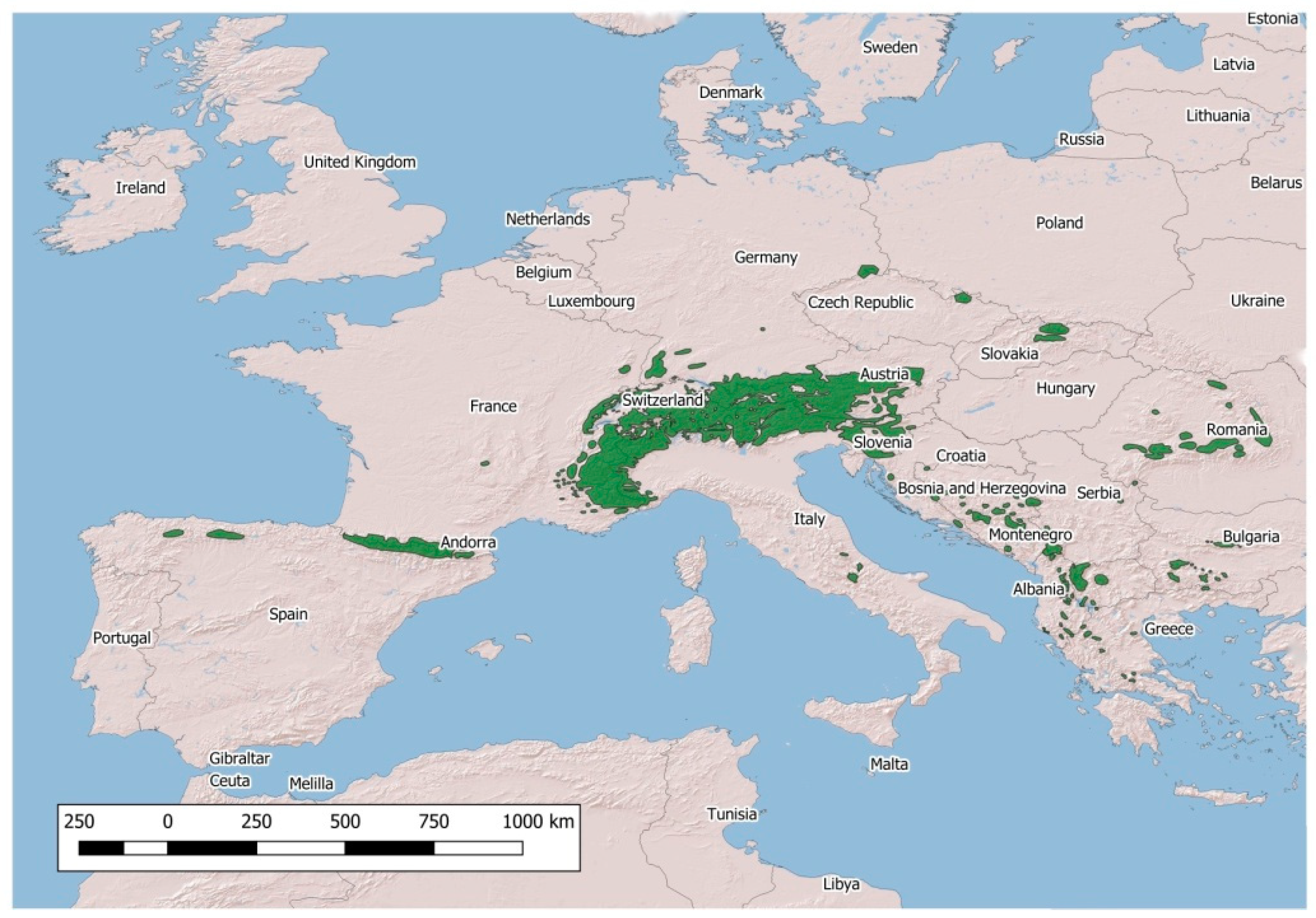 Animals 09 00922 g002