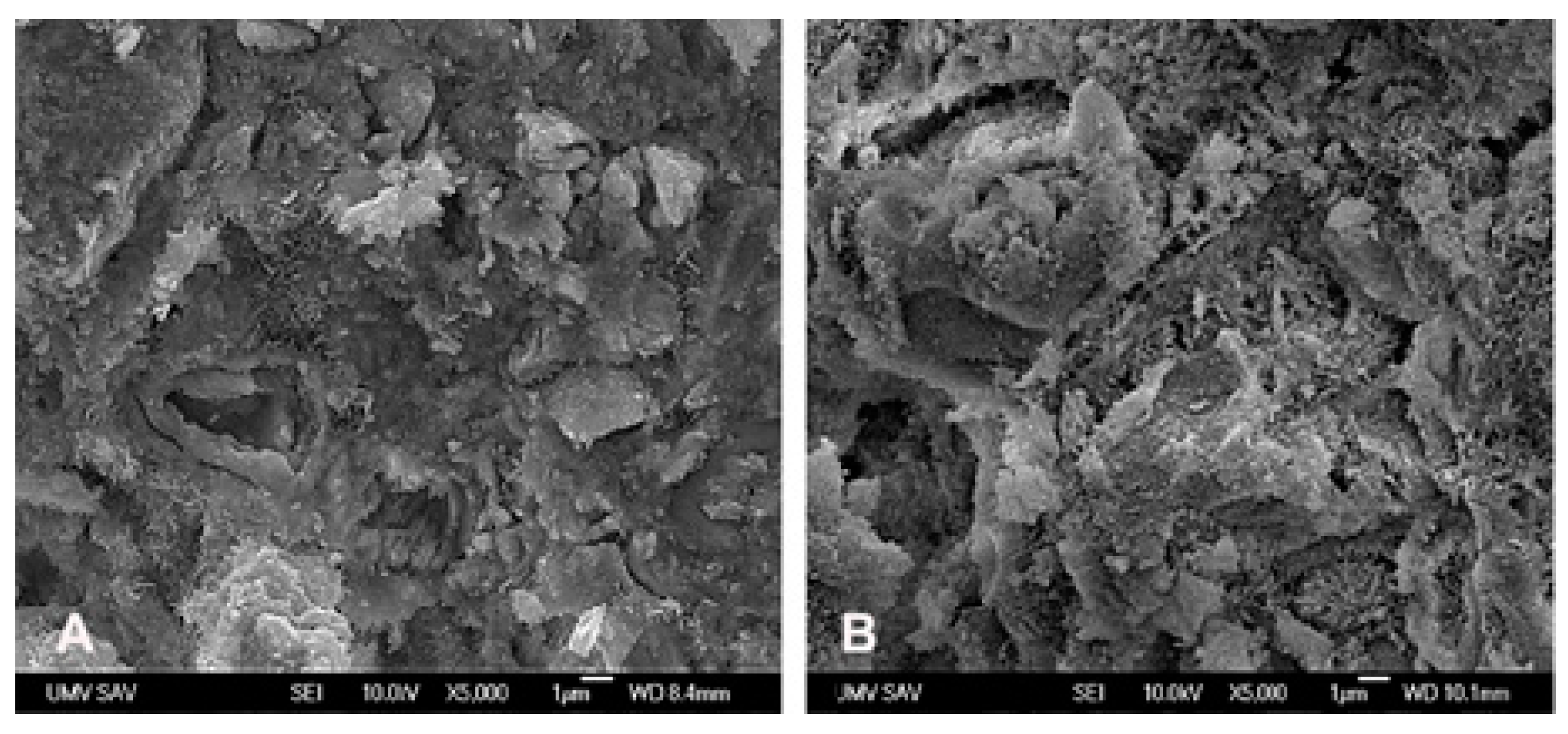 Animals 09 00931 g001