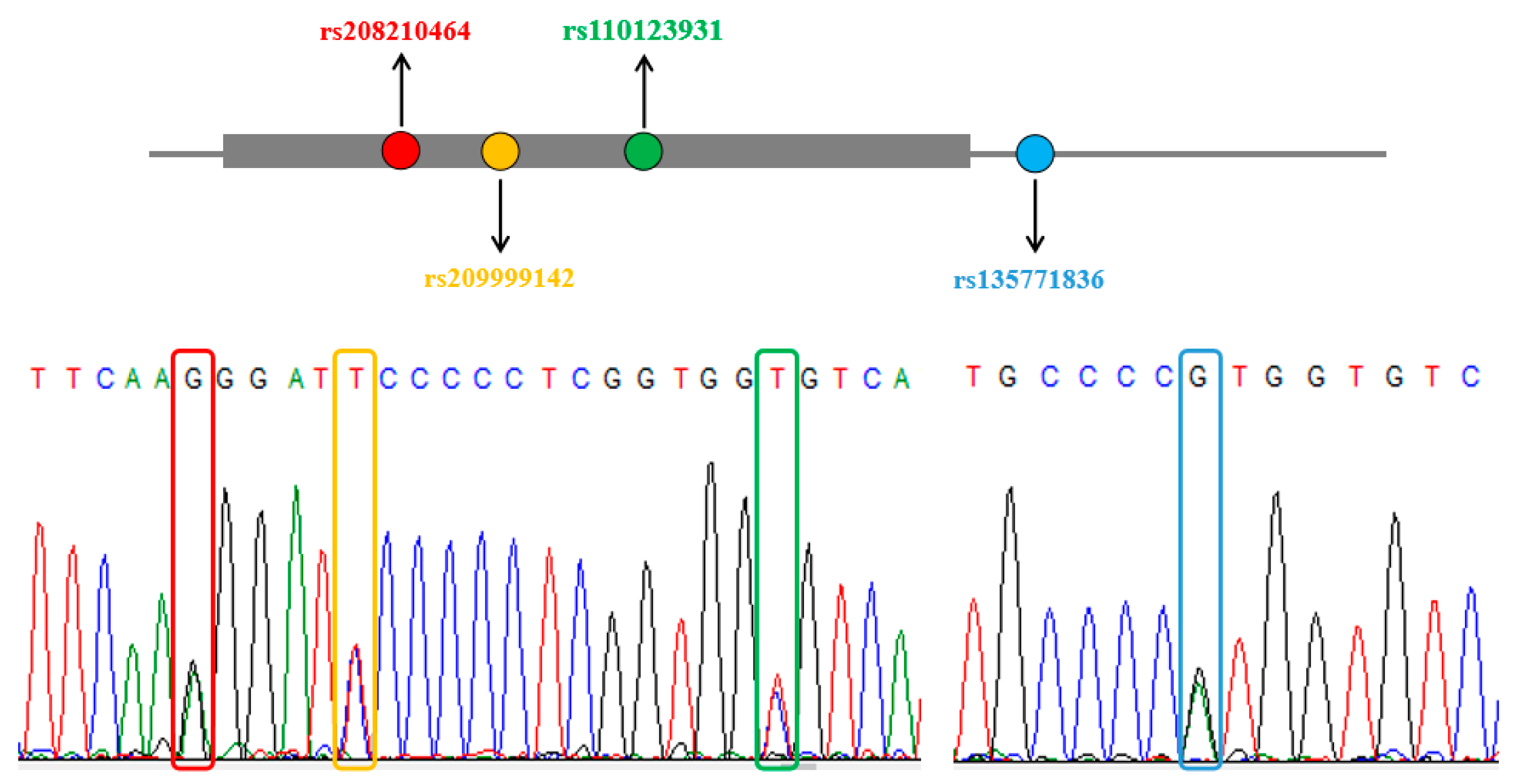 Animals 09 00964 g001 Animals 09 00964 g001