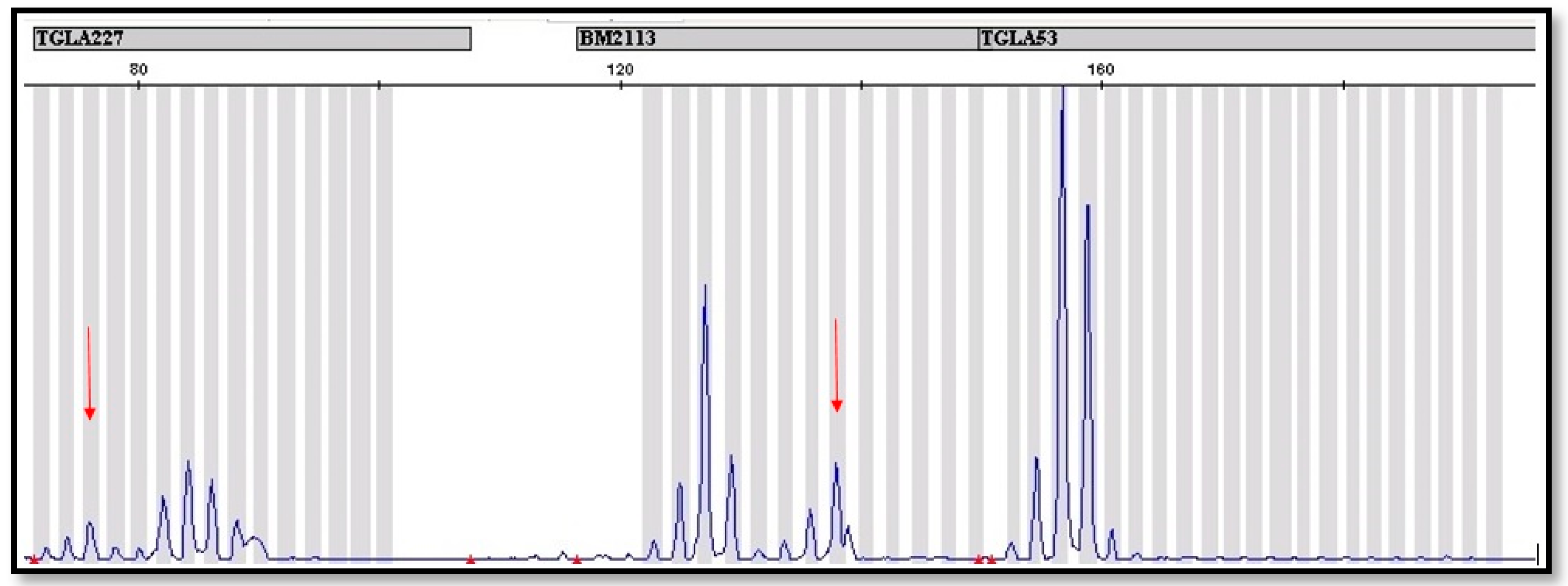 Animals 09 00971 g002 Animals 09 00971 g002