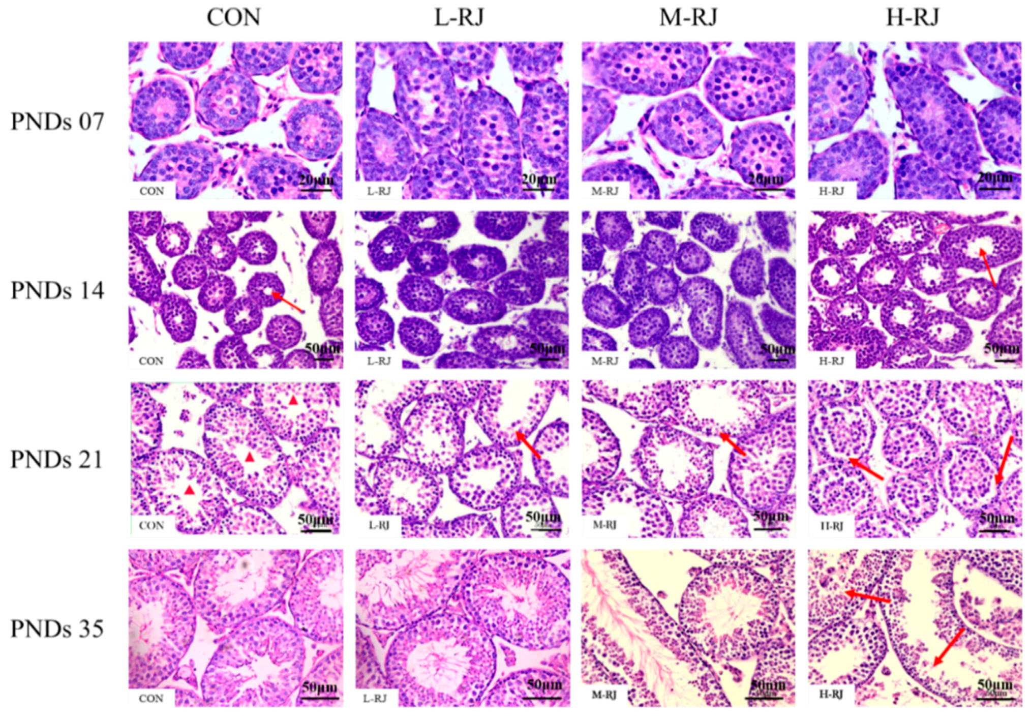 Animals 09 00977 g004