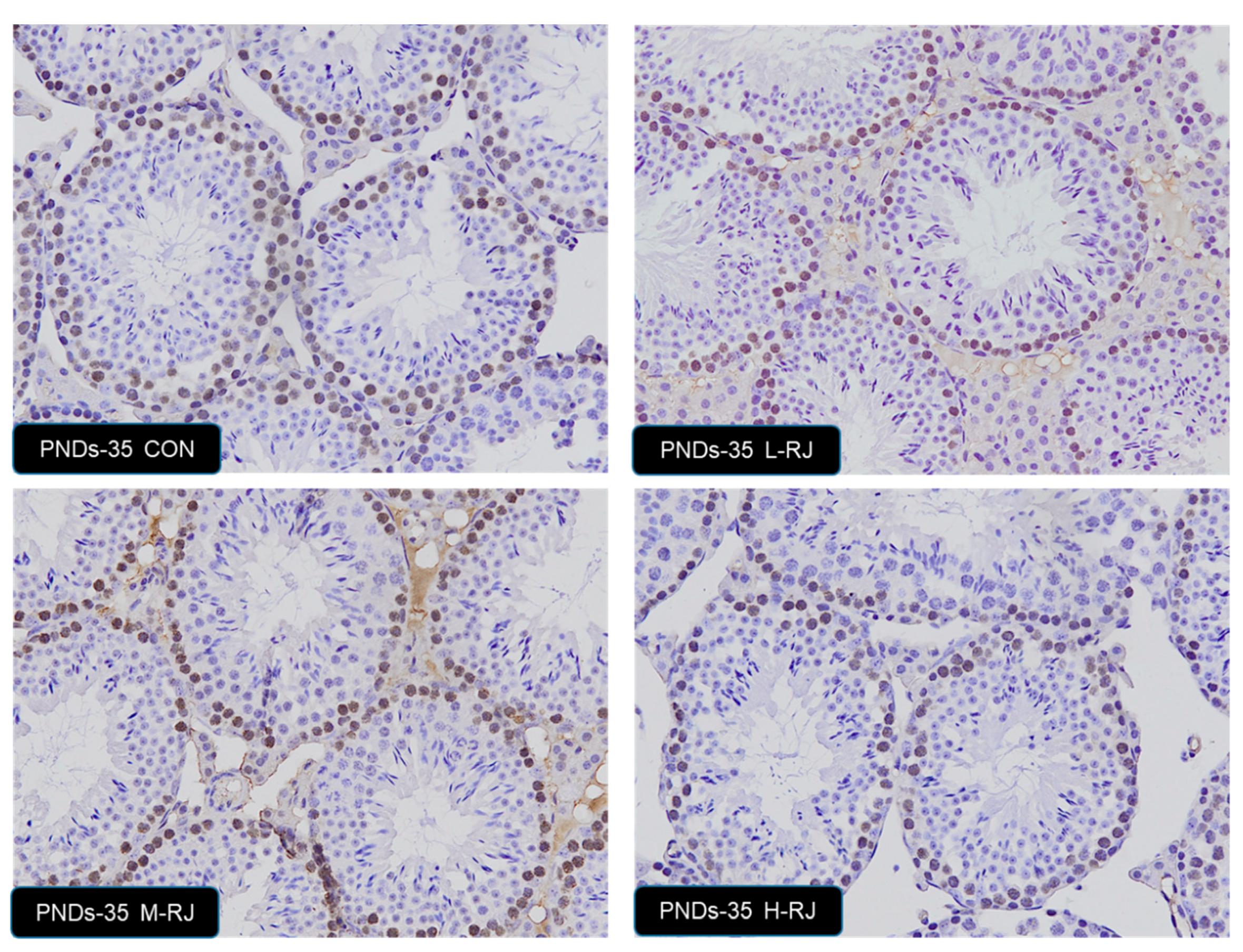 Animals 09 00977 g007