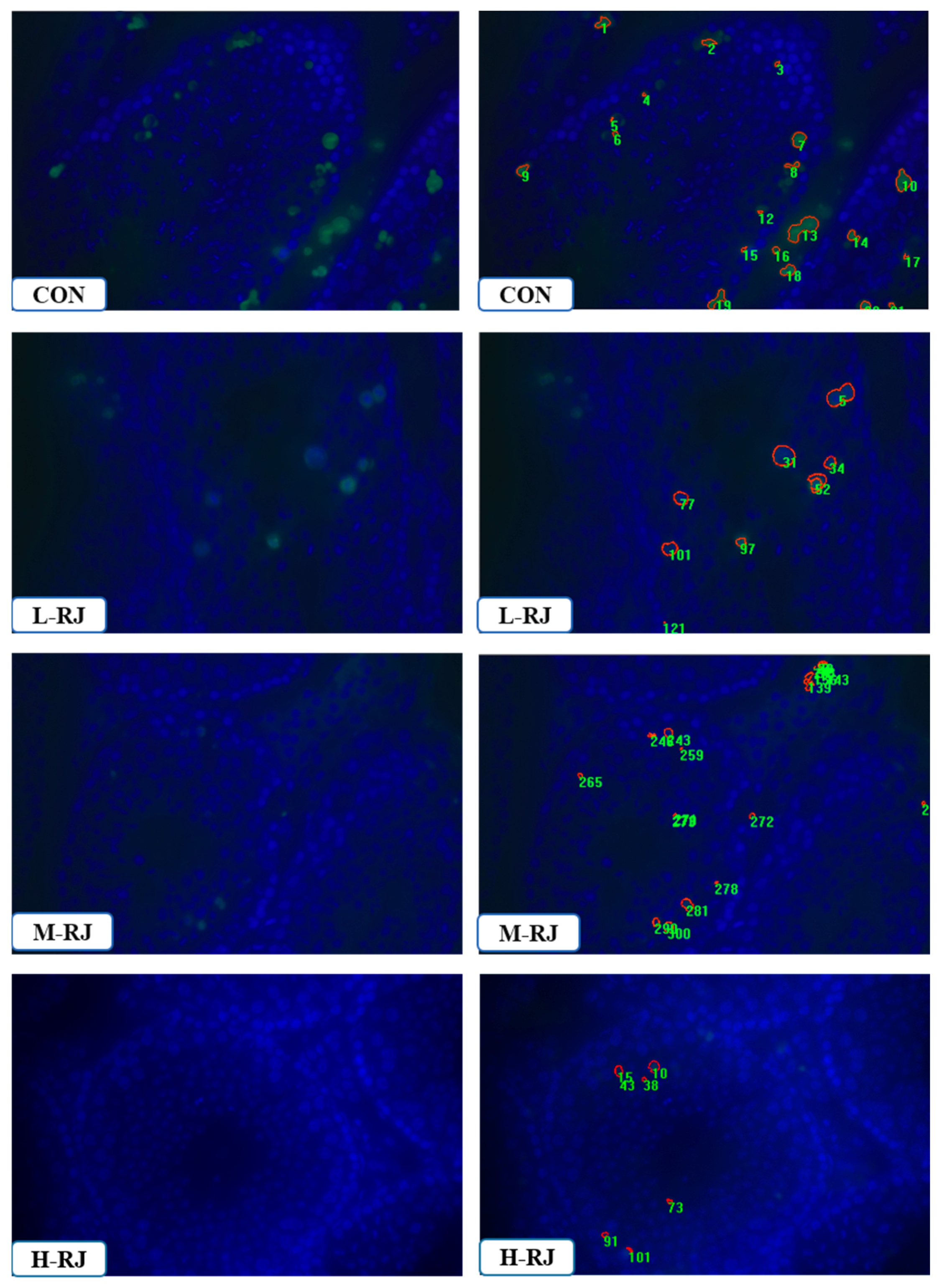 Animals 09 00977 g008