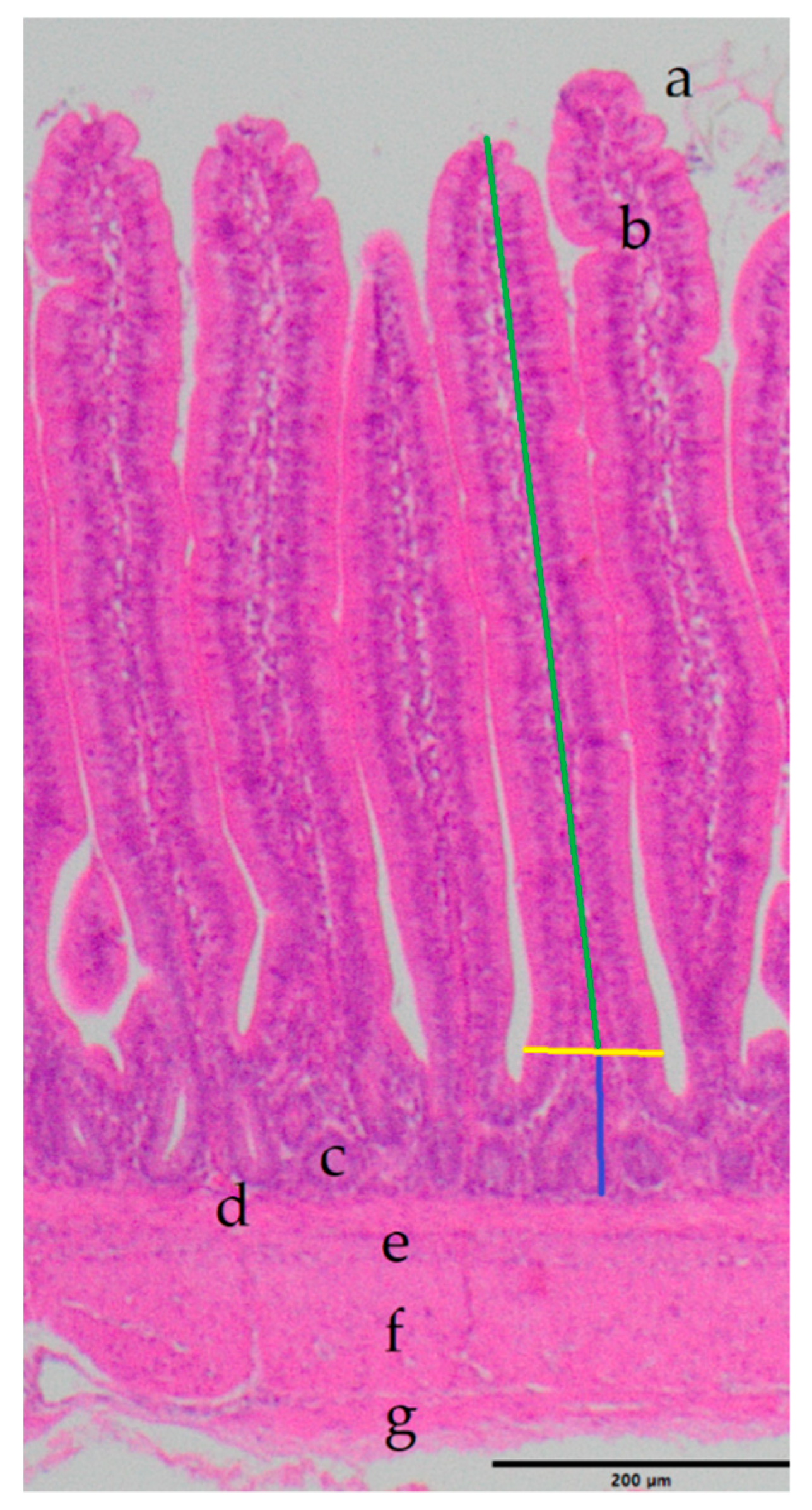 Animals 09 00984 g001