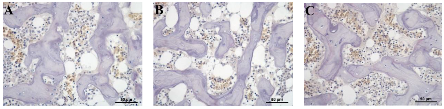 Animals 09 00998 g005a Animals 09 00998 g005a