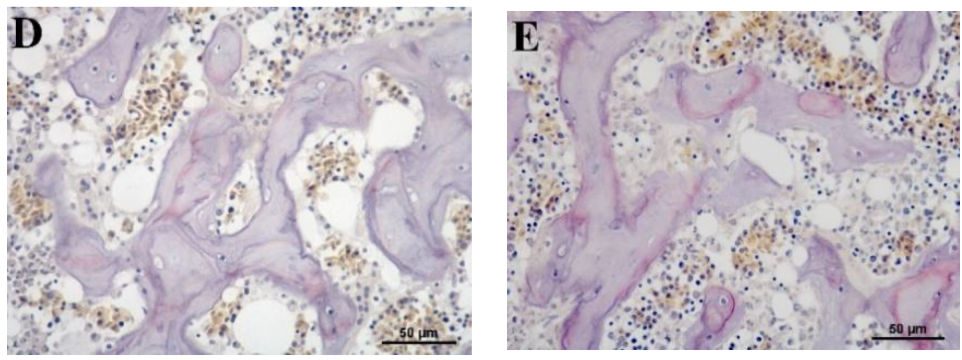 Animals 09 00998 g005b Animals 09 00998 g005b