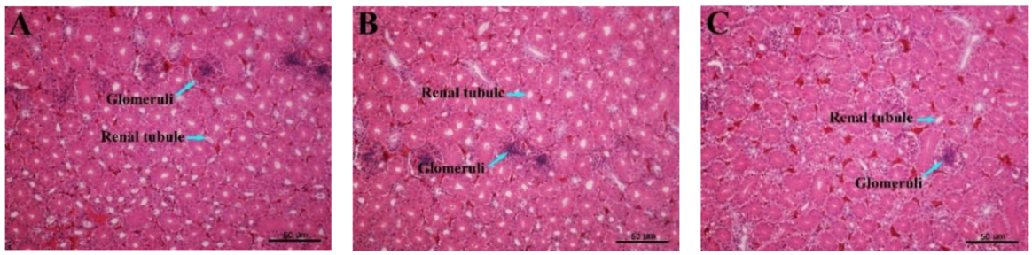 Animals 09 00998 g006a Animals 09 00998 g006a