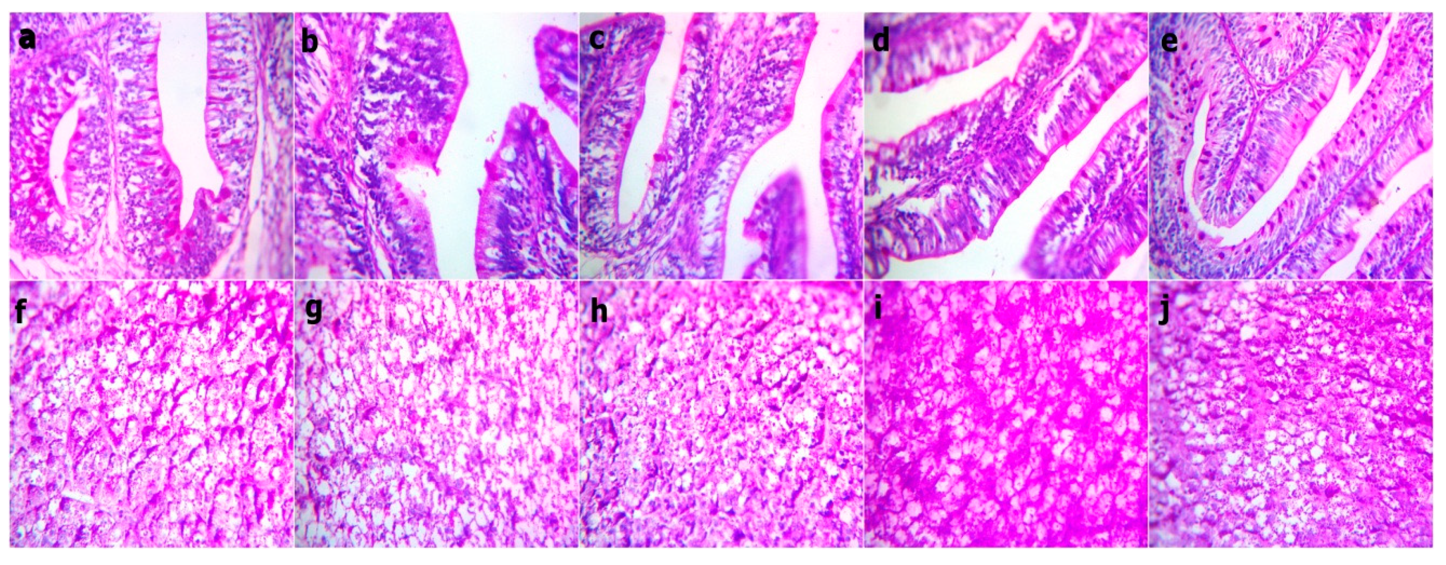 Animals 09 01003 g006 Animals 09 01003 g006