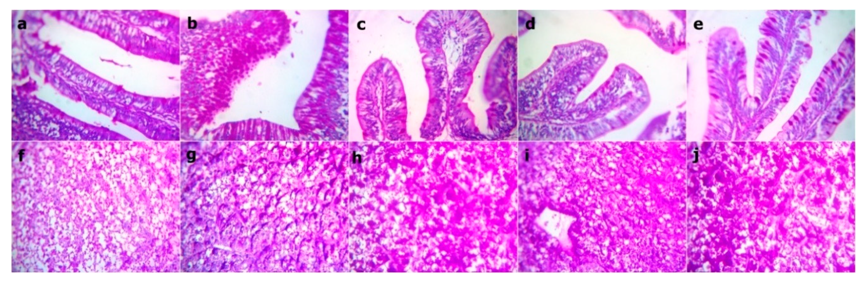 Animals 09 01003 g007 Animals 09 01003 g007