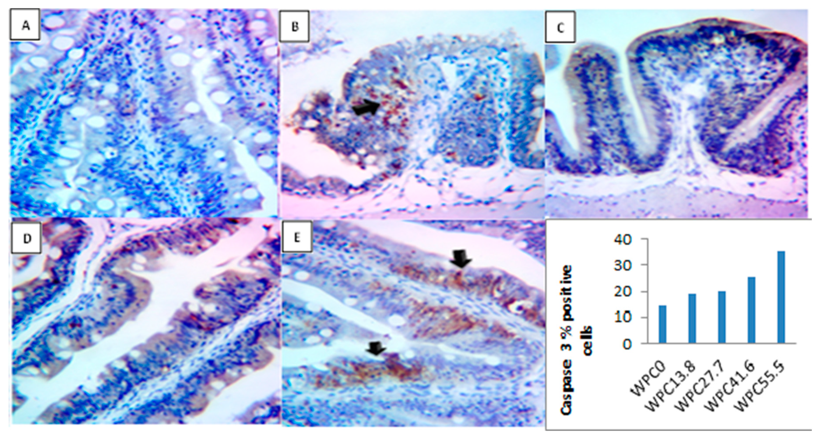 Animals 09 01003 g008 Animals 09 01003 g008