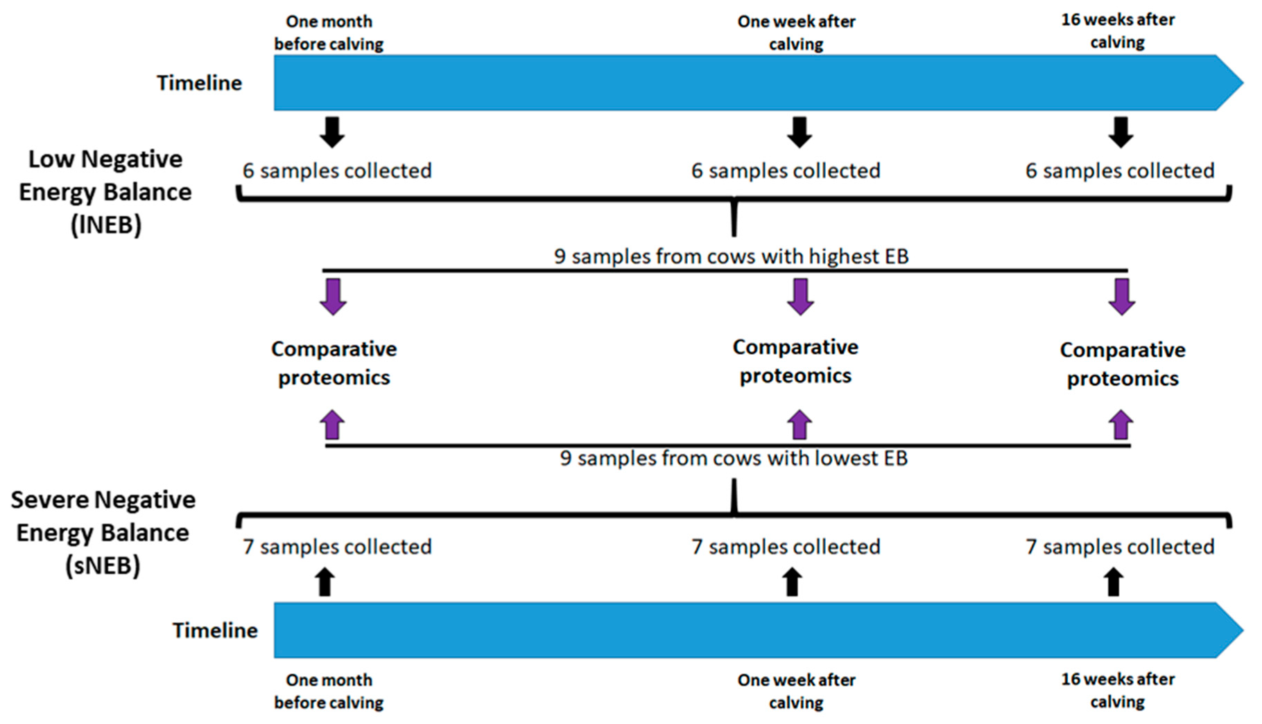 Animals 09 01013 g001 Animals 09 01013 g001