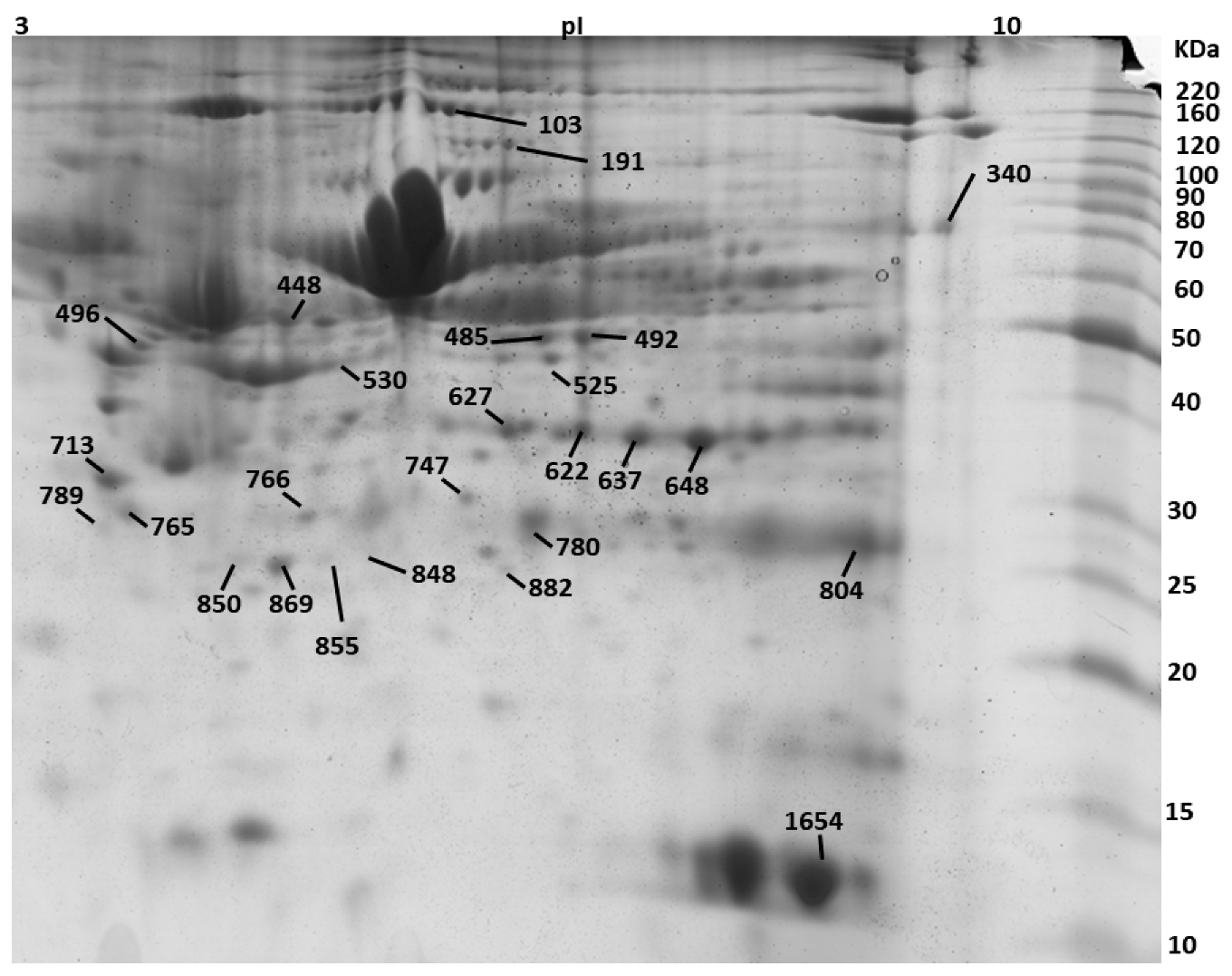 Animals 09 01013 g004 Animals 09 01013 g004