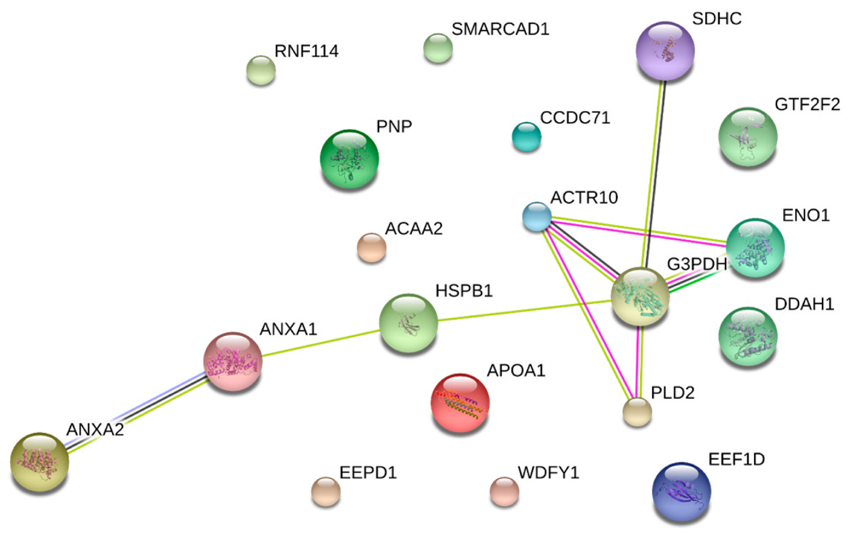 Animals 09 01013 g006 Animals 09 01013 g006