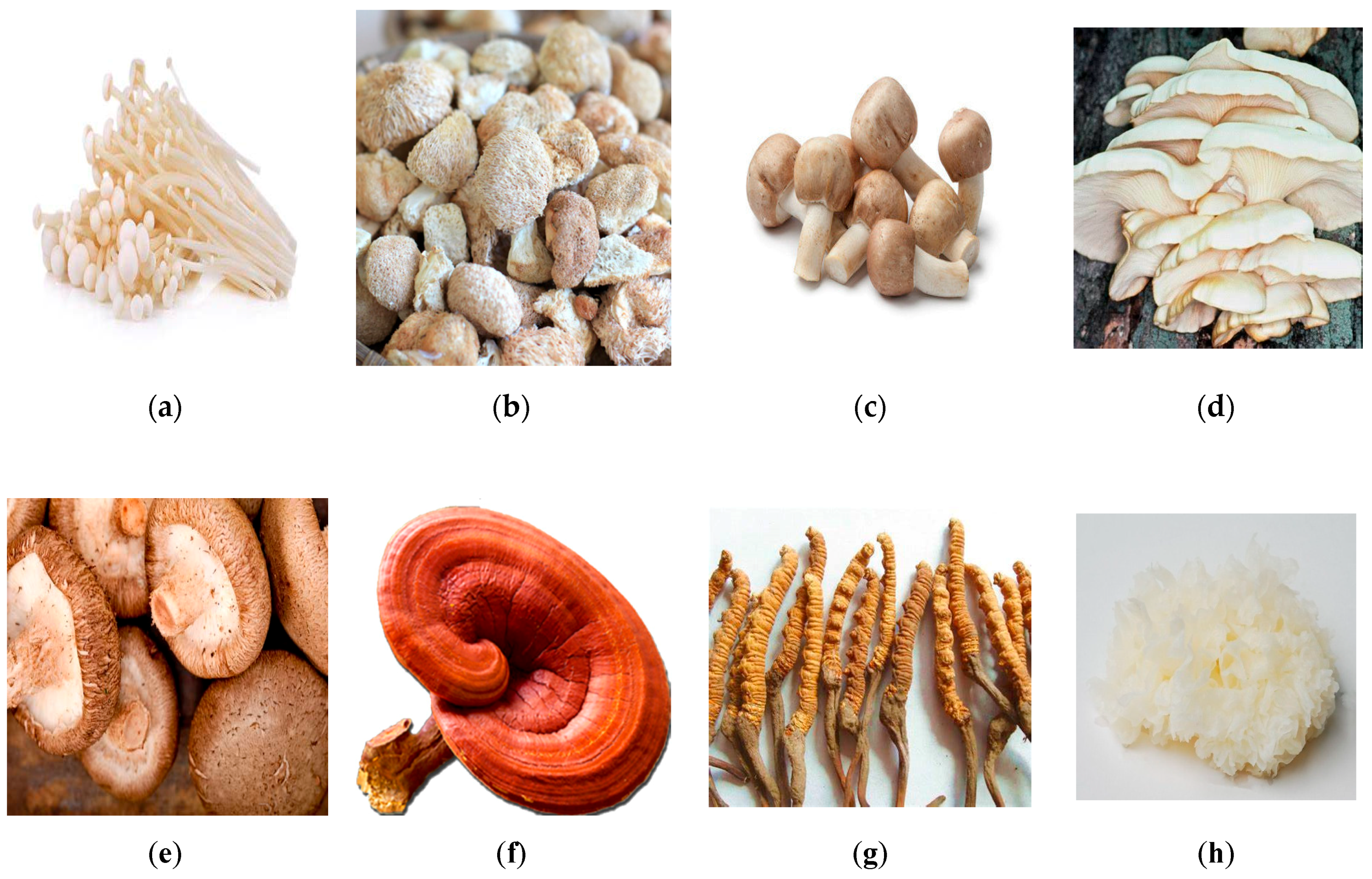 Animals 09 01014 g001