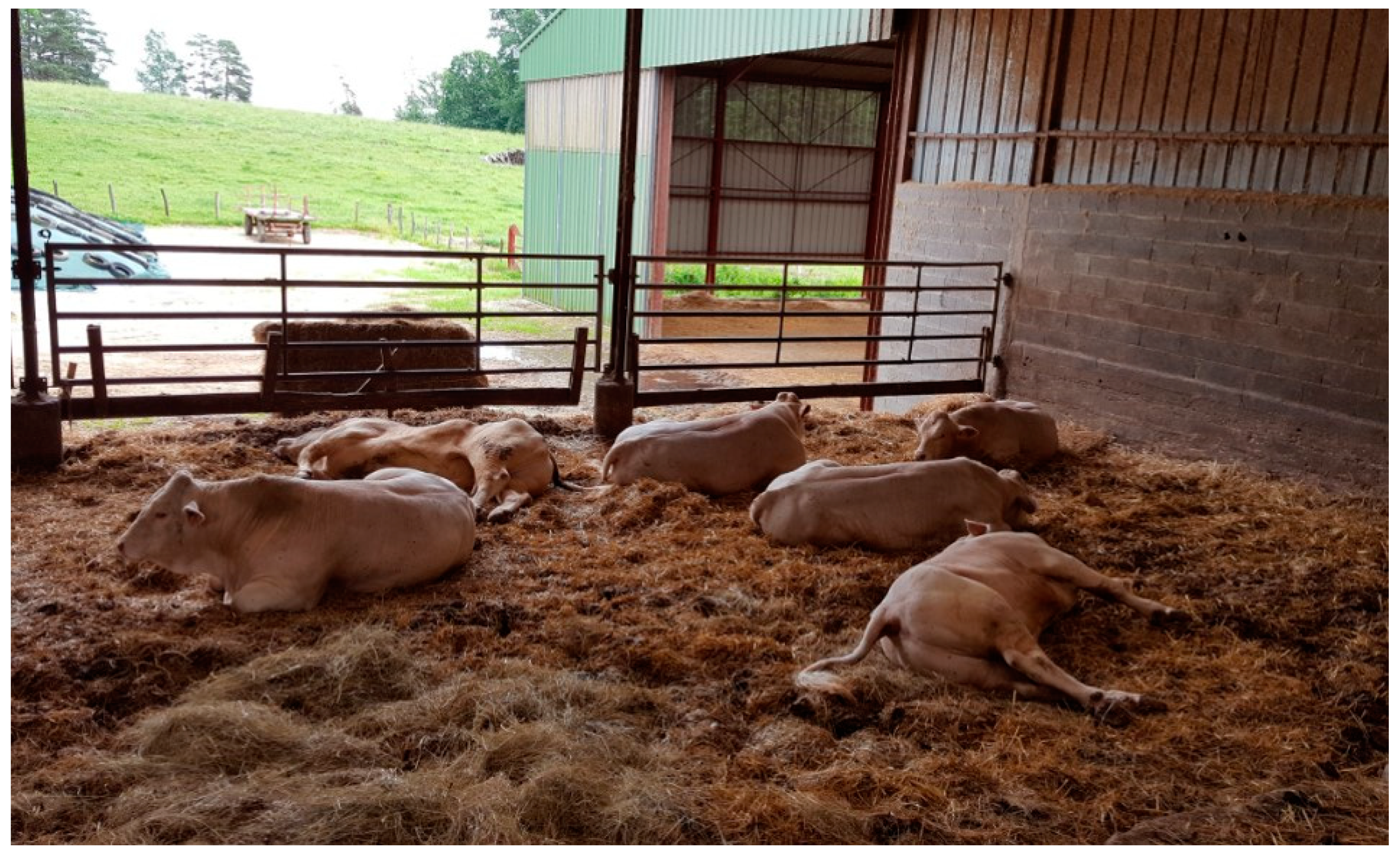 Animals 09 01025 g003