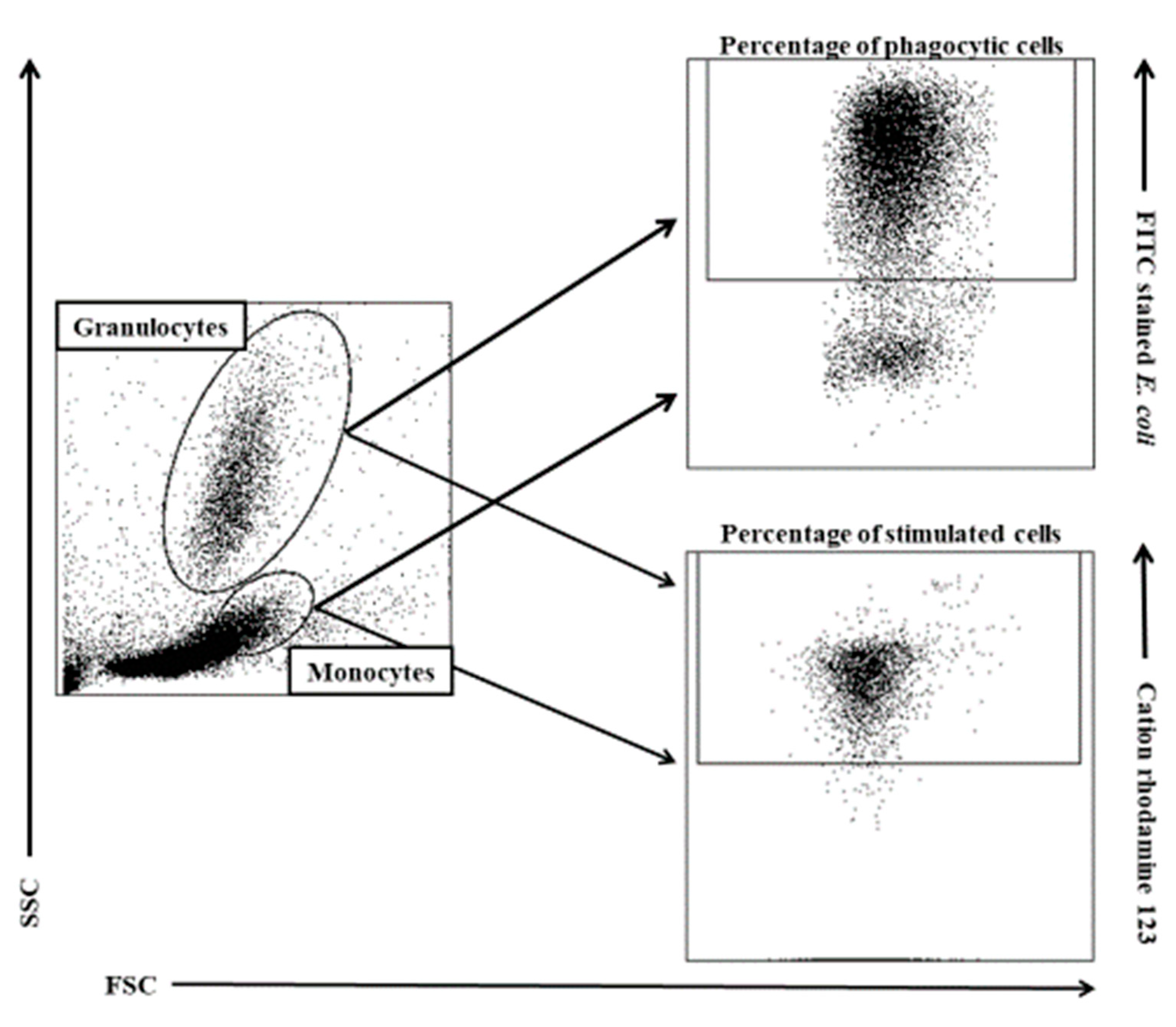 Animals 09 01031 g001