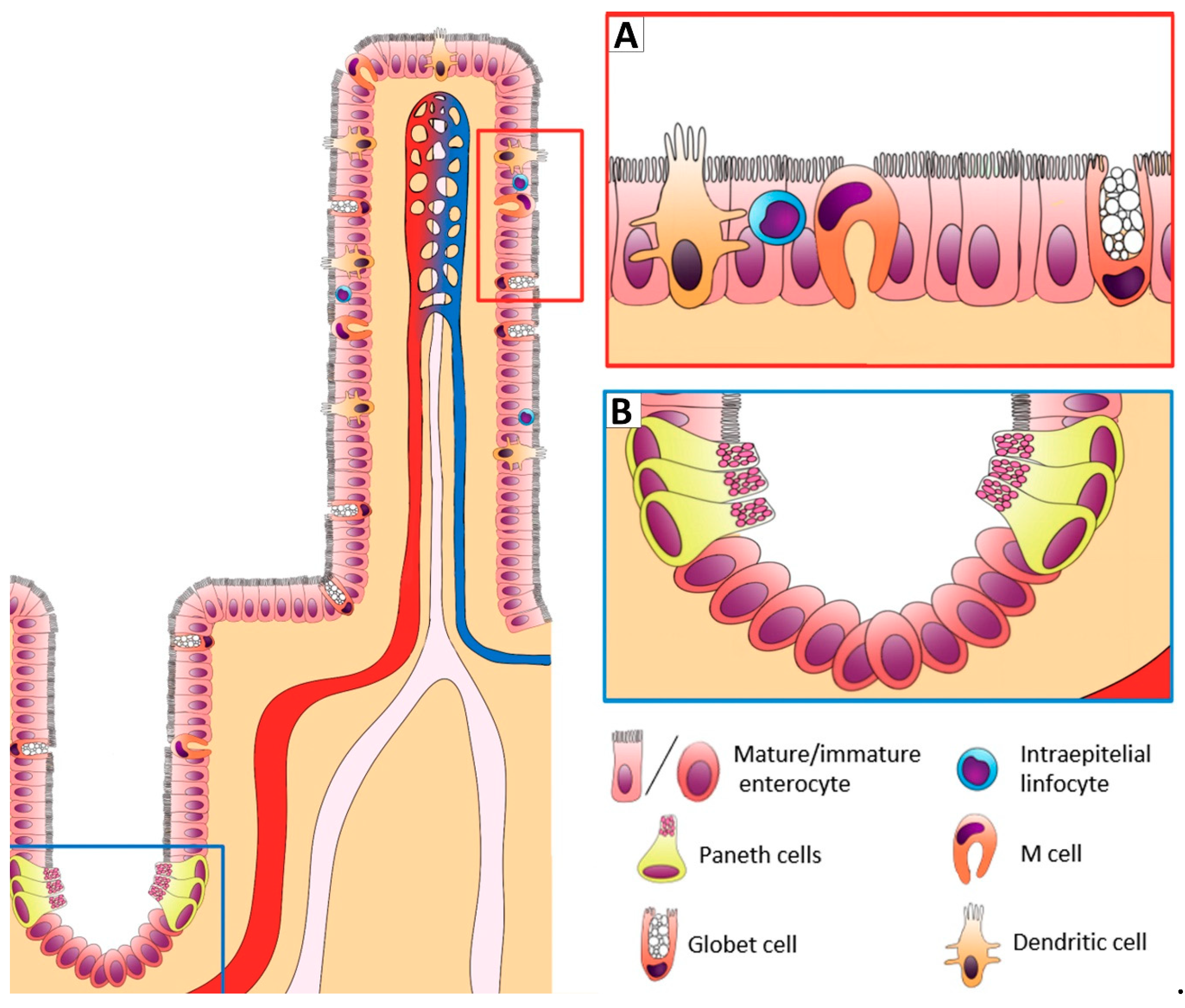 Animals 09 01045 g001 Animals 09 01045 g001