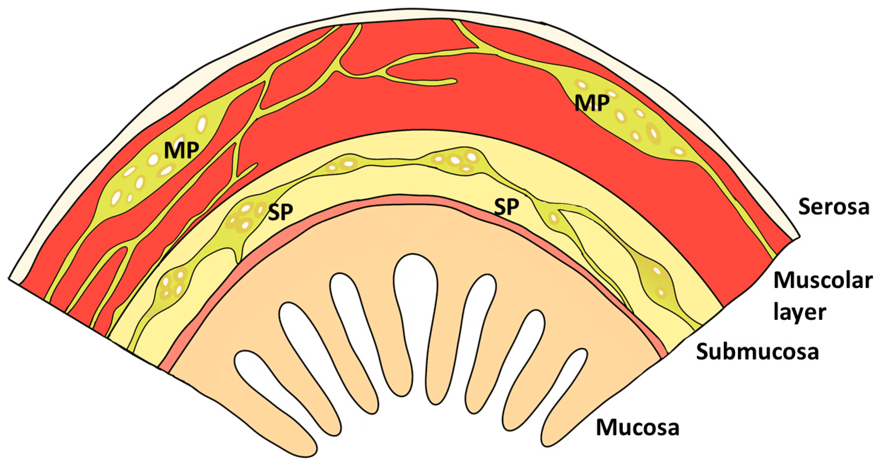 Animals 09 01045 g002 Animals 09 01045 g002
