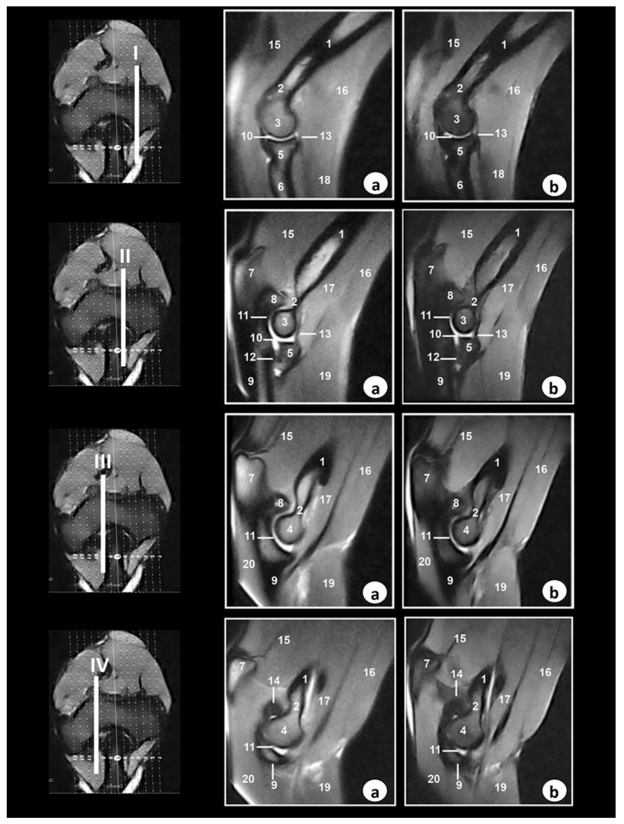 Animals 09 01058 g003