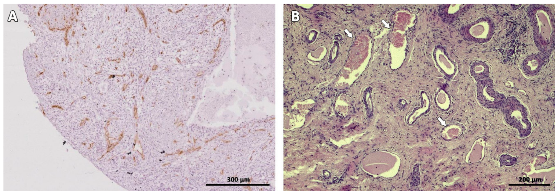 Animals 09 01065 g006