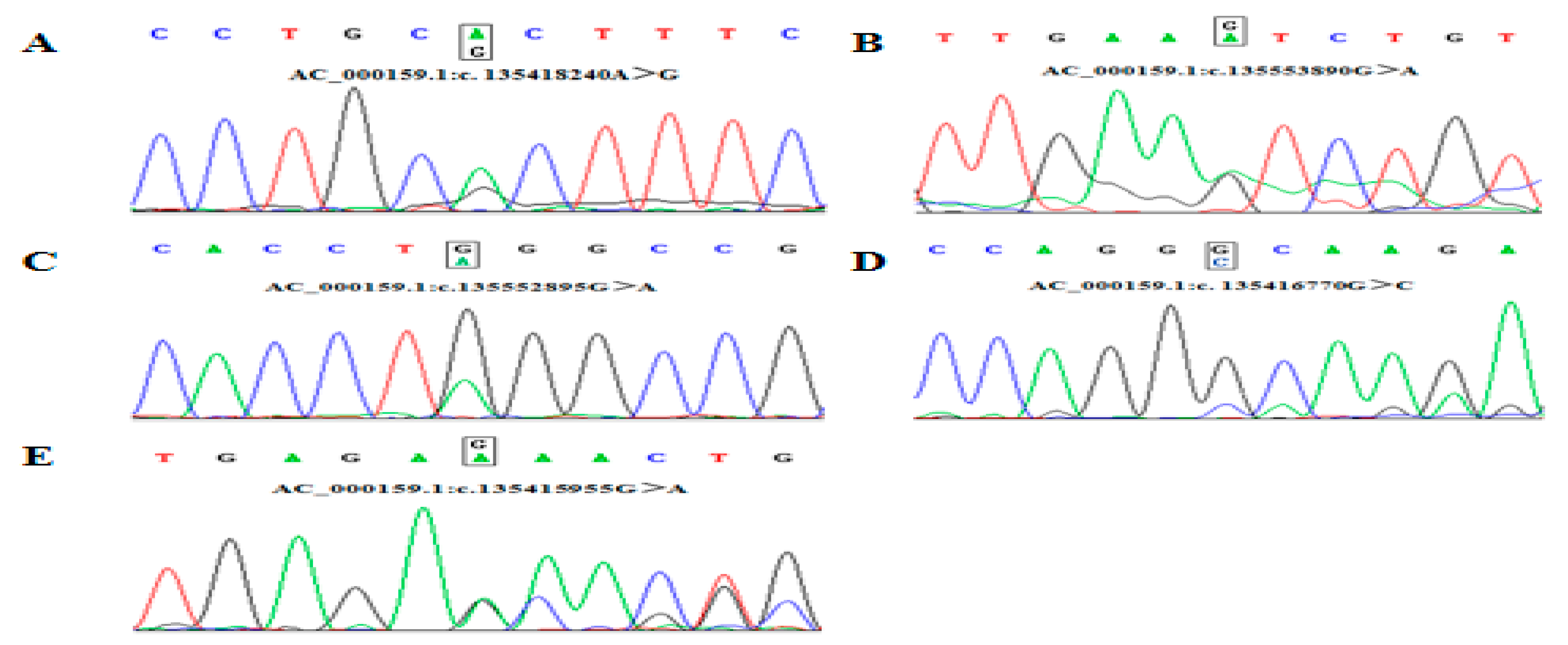 Animals 09 01068 g001