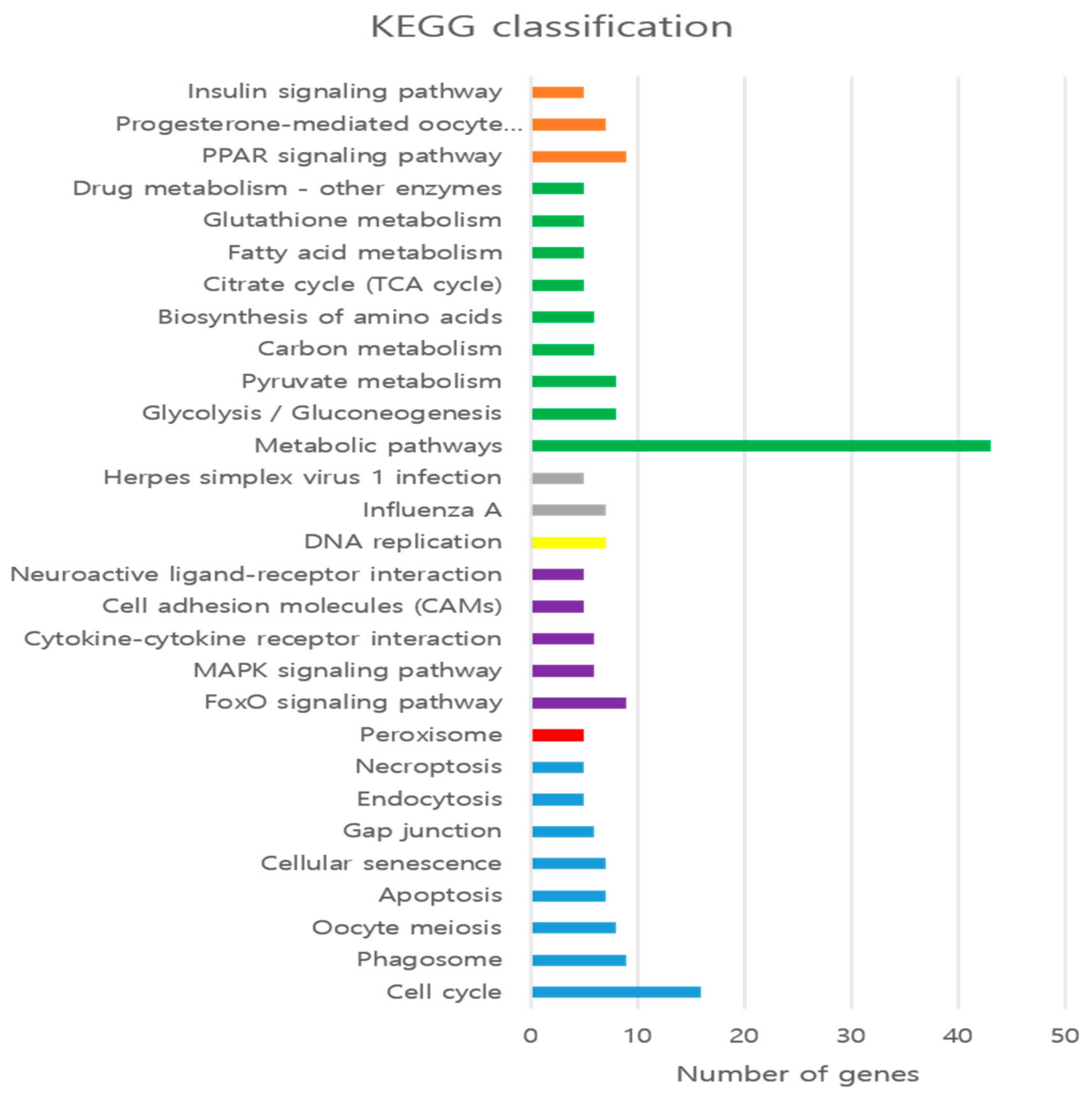Animals 09 01076 g004