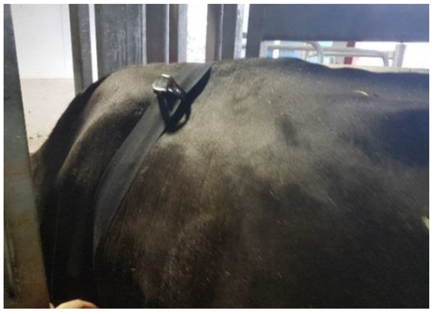 Animals 09 01089 g003