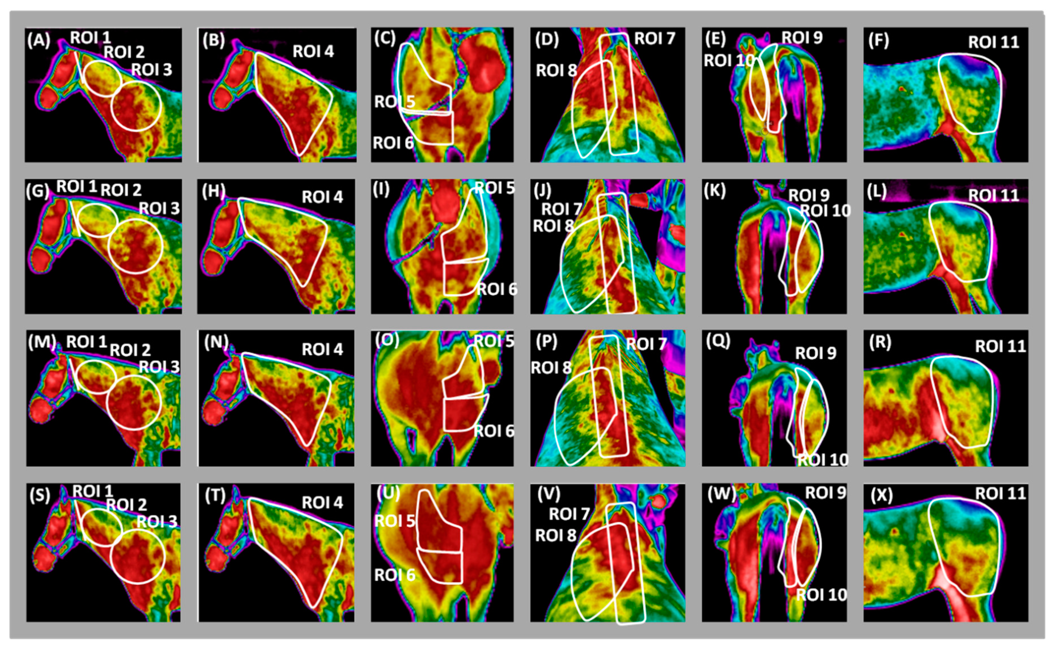 Animals 09 01095 g007