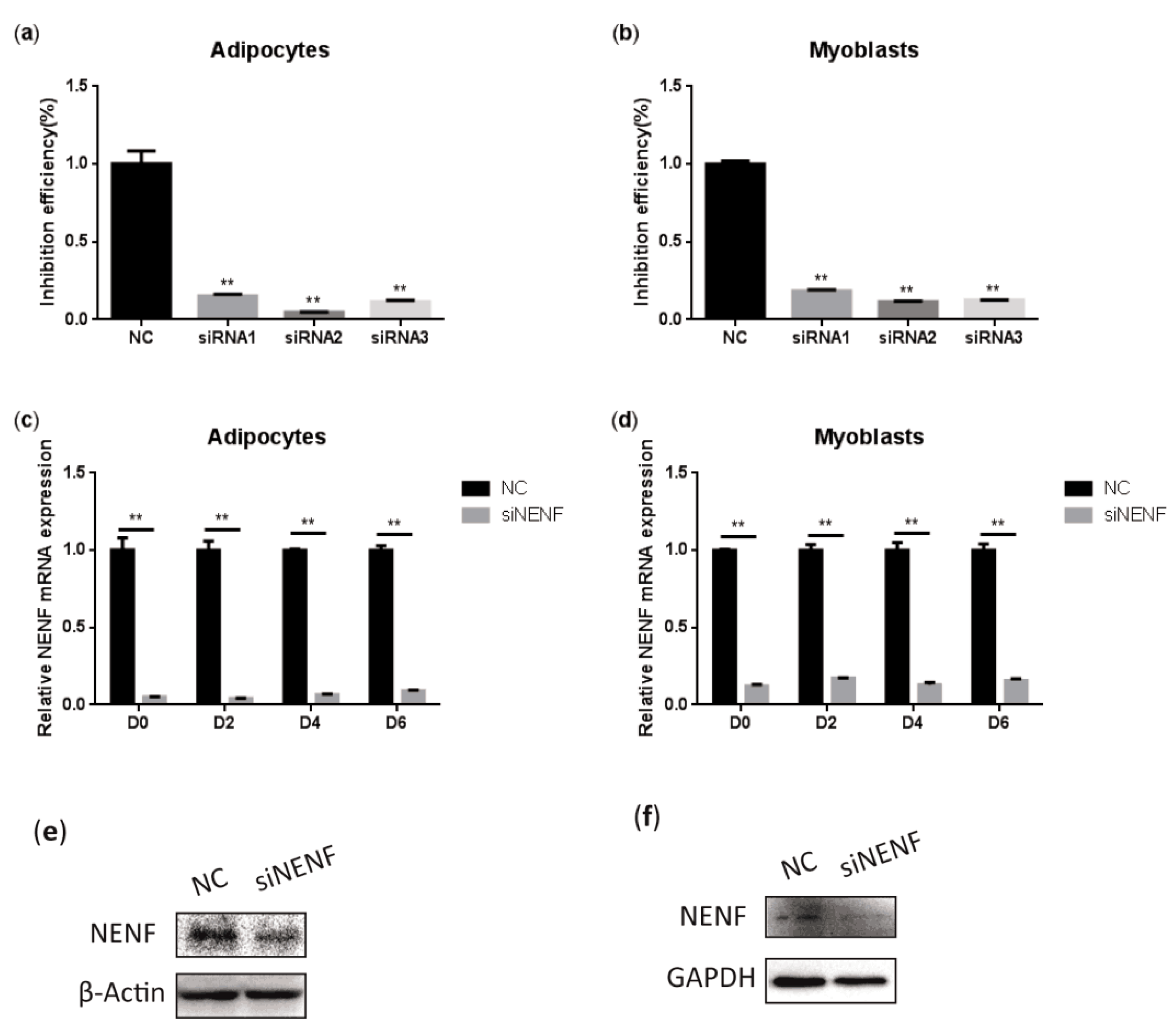 Animals 09 01109 g003