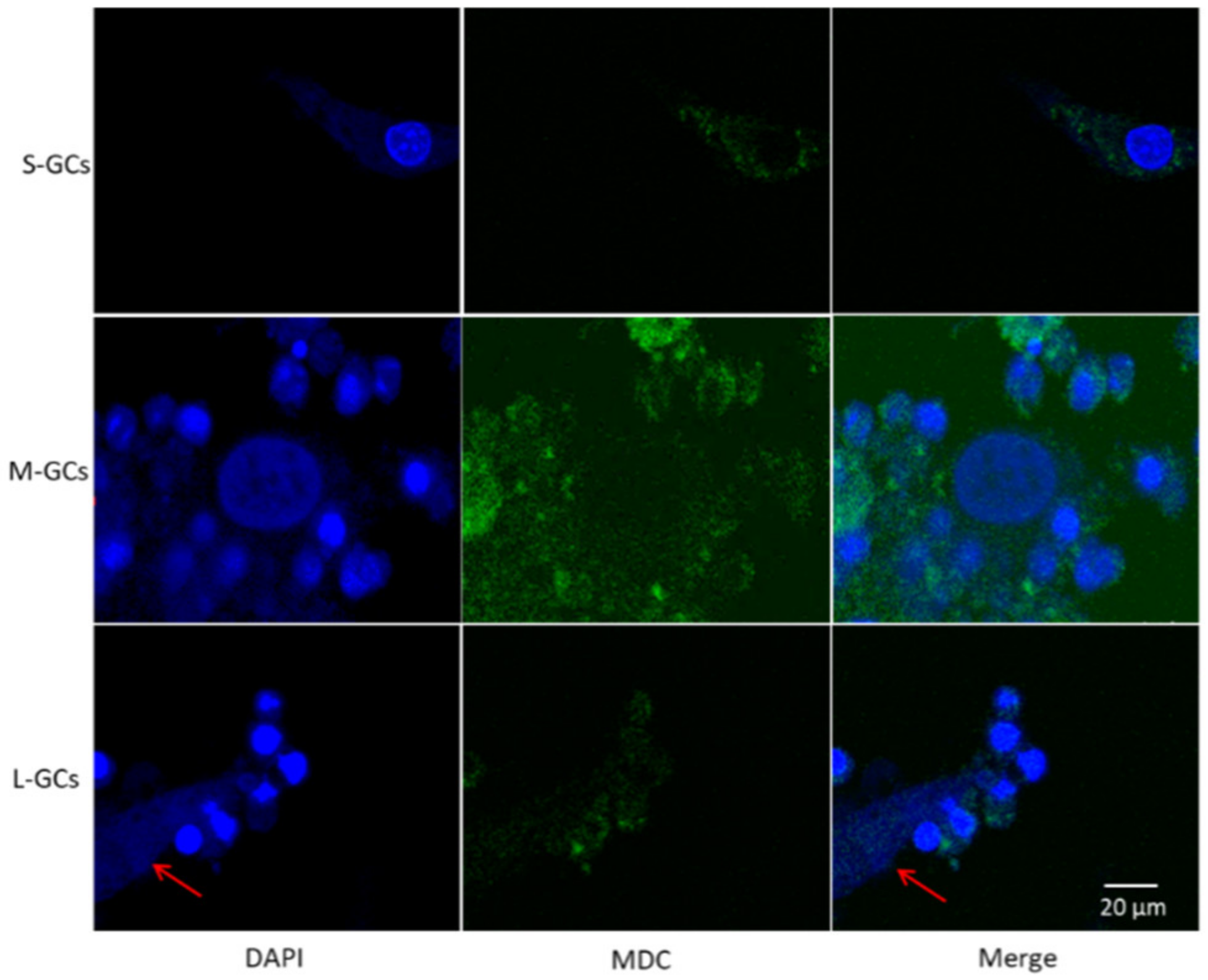 Animals 09 01111 g006