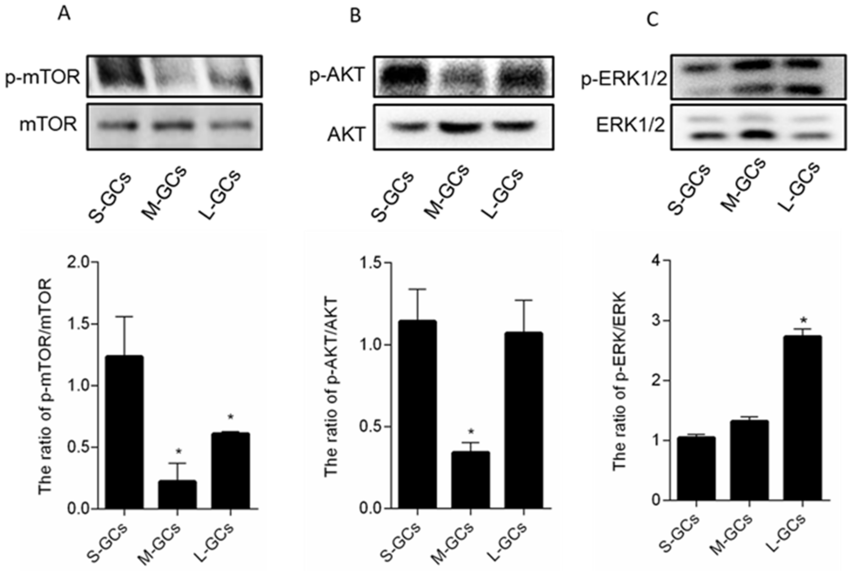 Animals 09 01111 g007