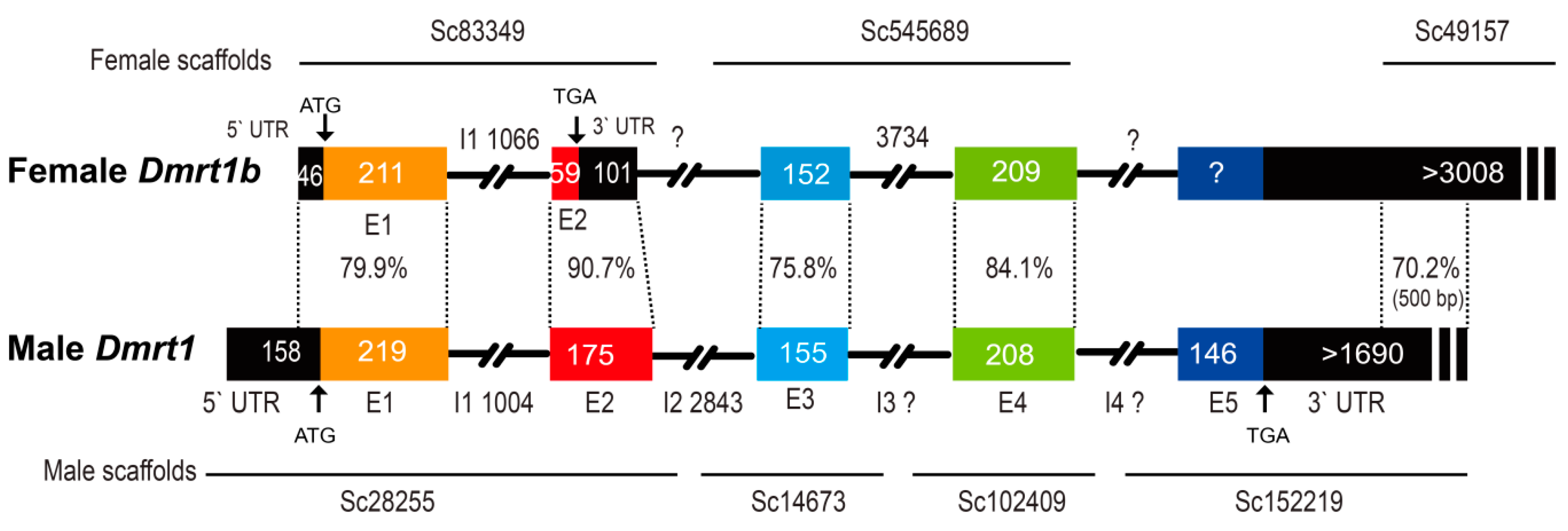 Animals 09 01117 g003 Animals 09 01117 g003