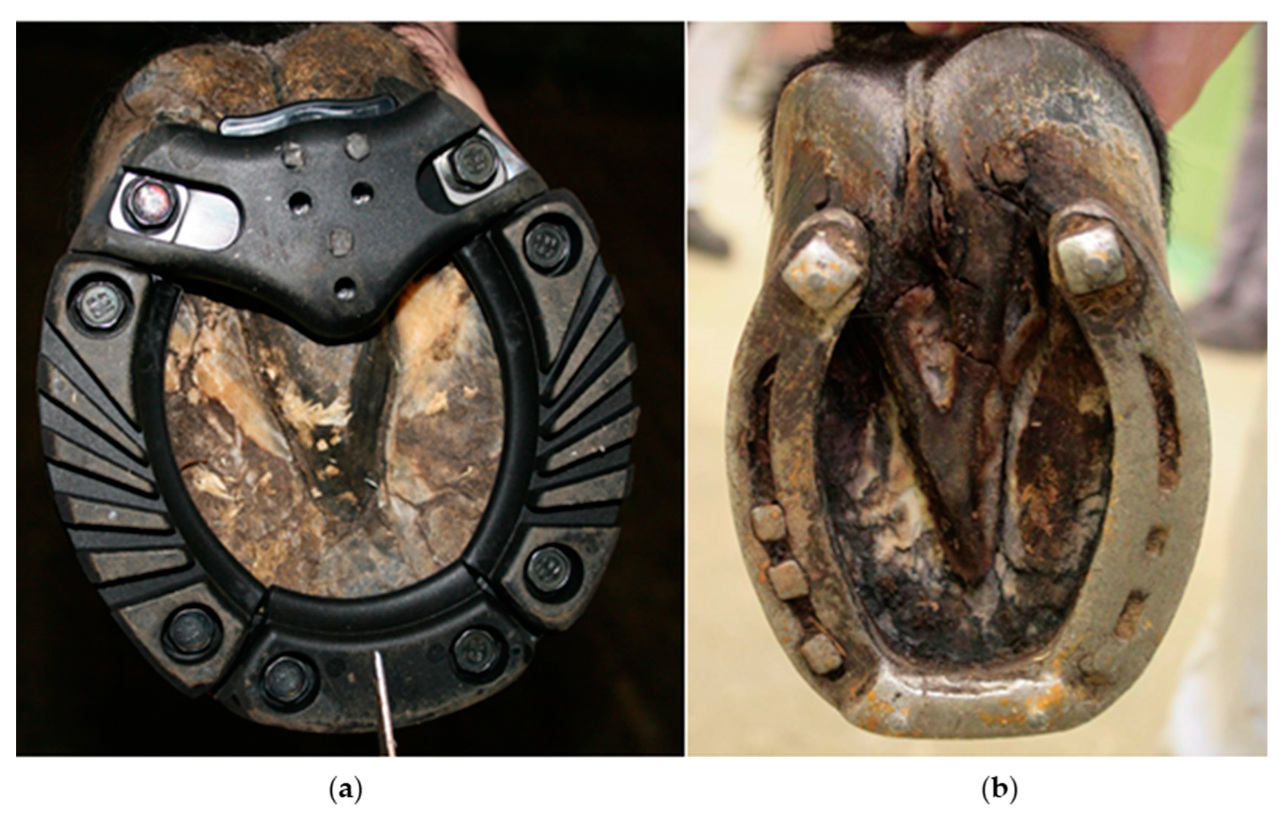 Animals 09 01119 g001