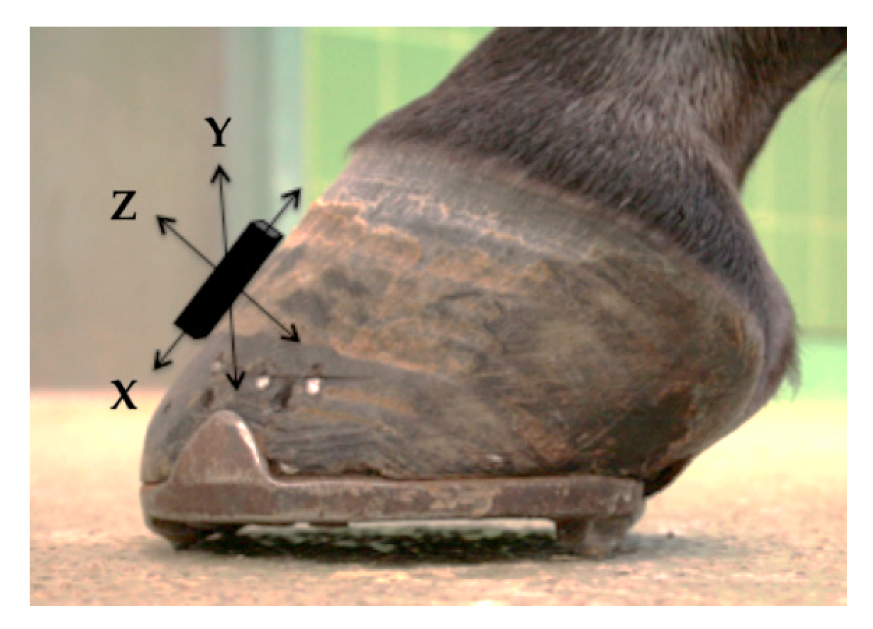 Animals 09 01119 g002