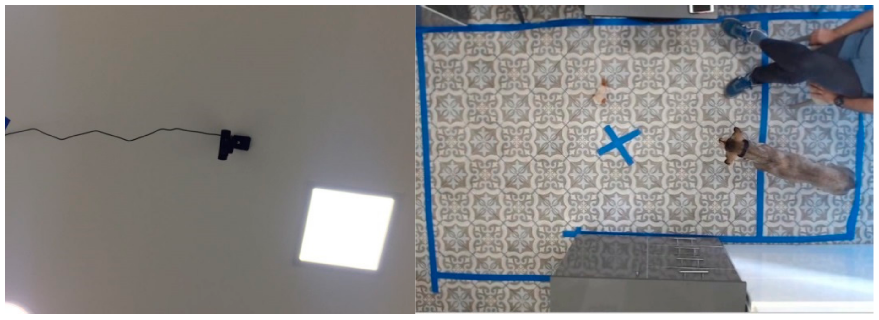 Animals 09 01140 g001