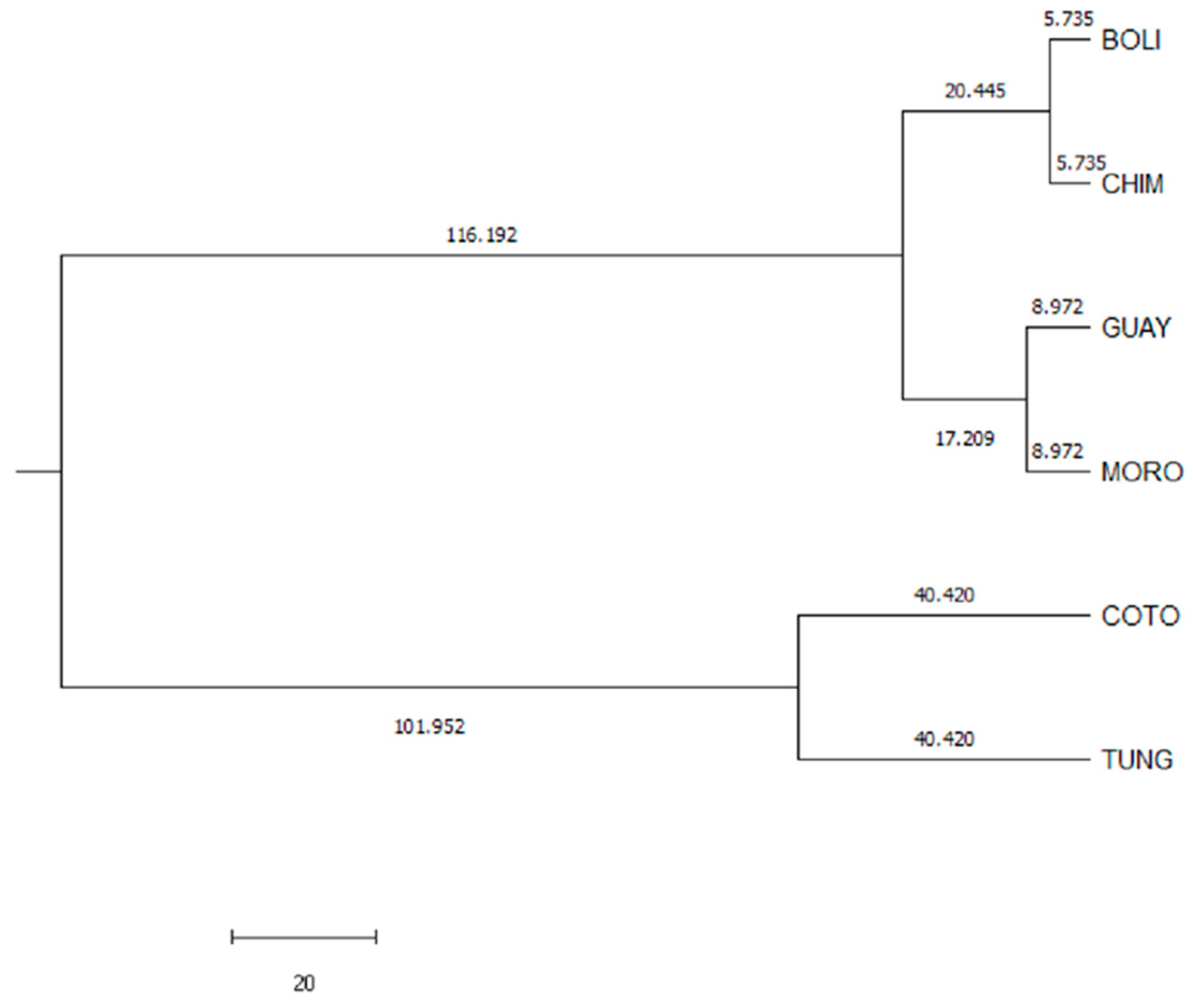 Animals 10 00032 g005