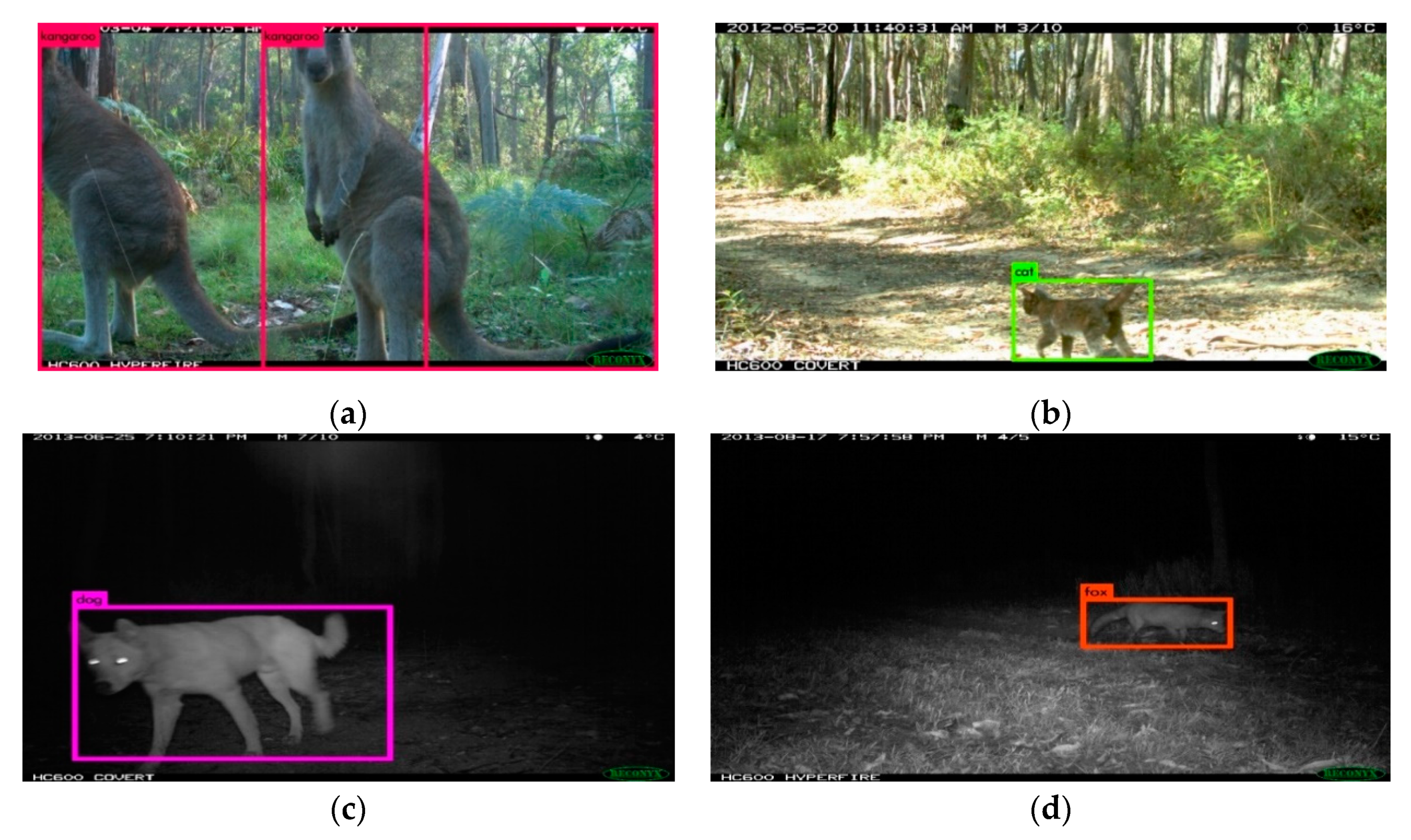 Animals 10 00058 g004 Animals 10 00058 g004