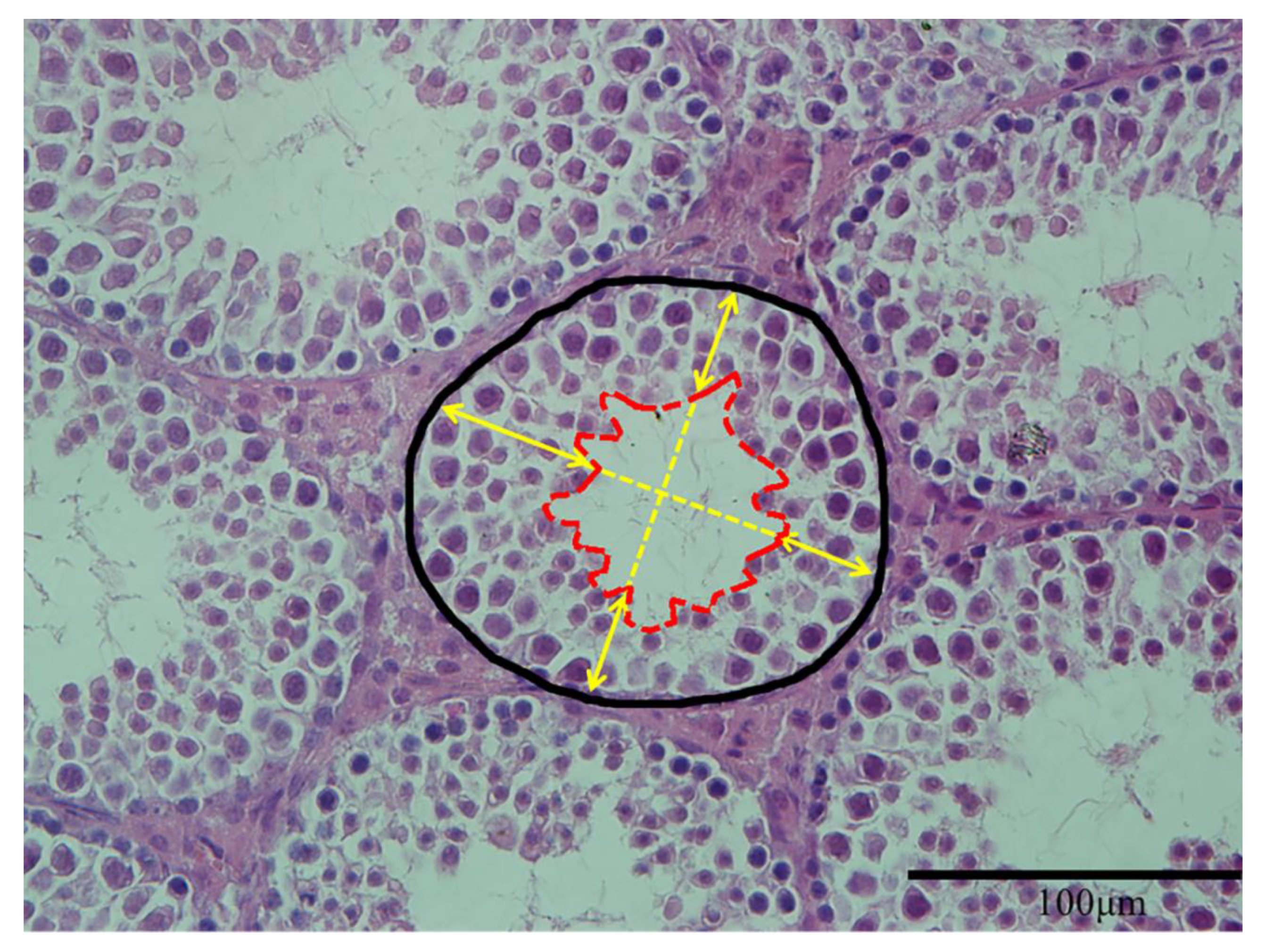 Animals 10 00074 g001 Animals 10 00074 g001