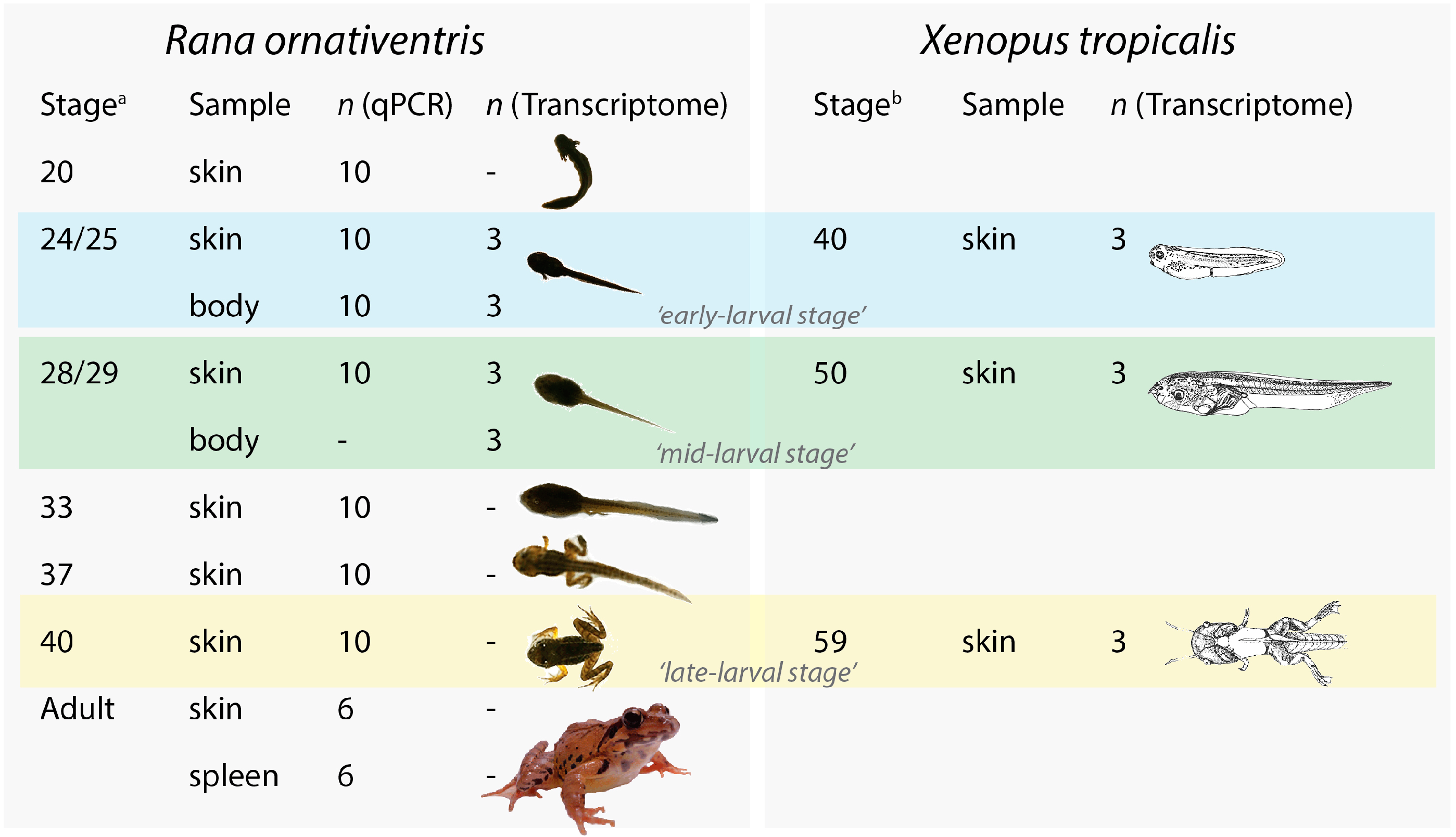 Animals 10 00091 g001