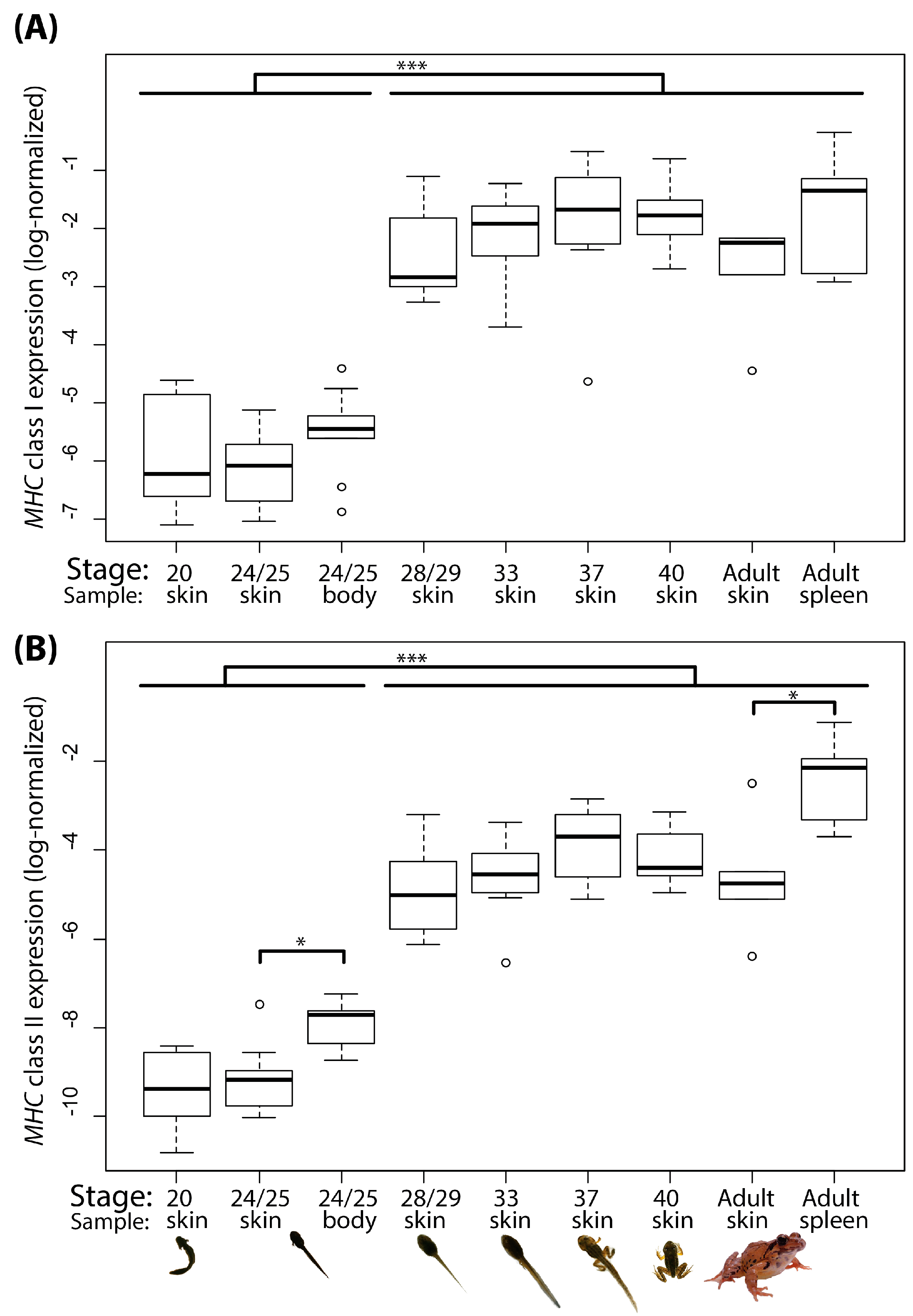 Animals 10 00091 g002
