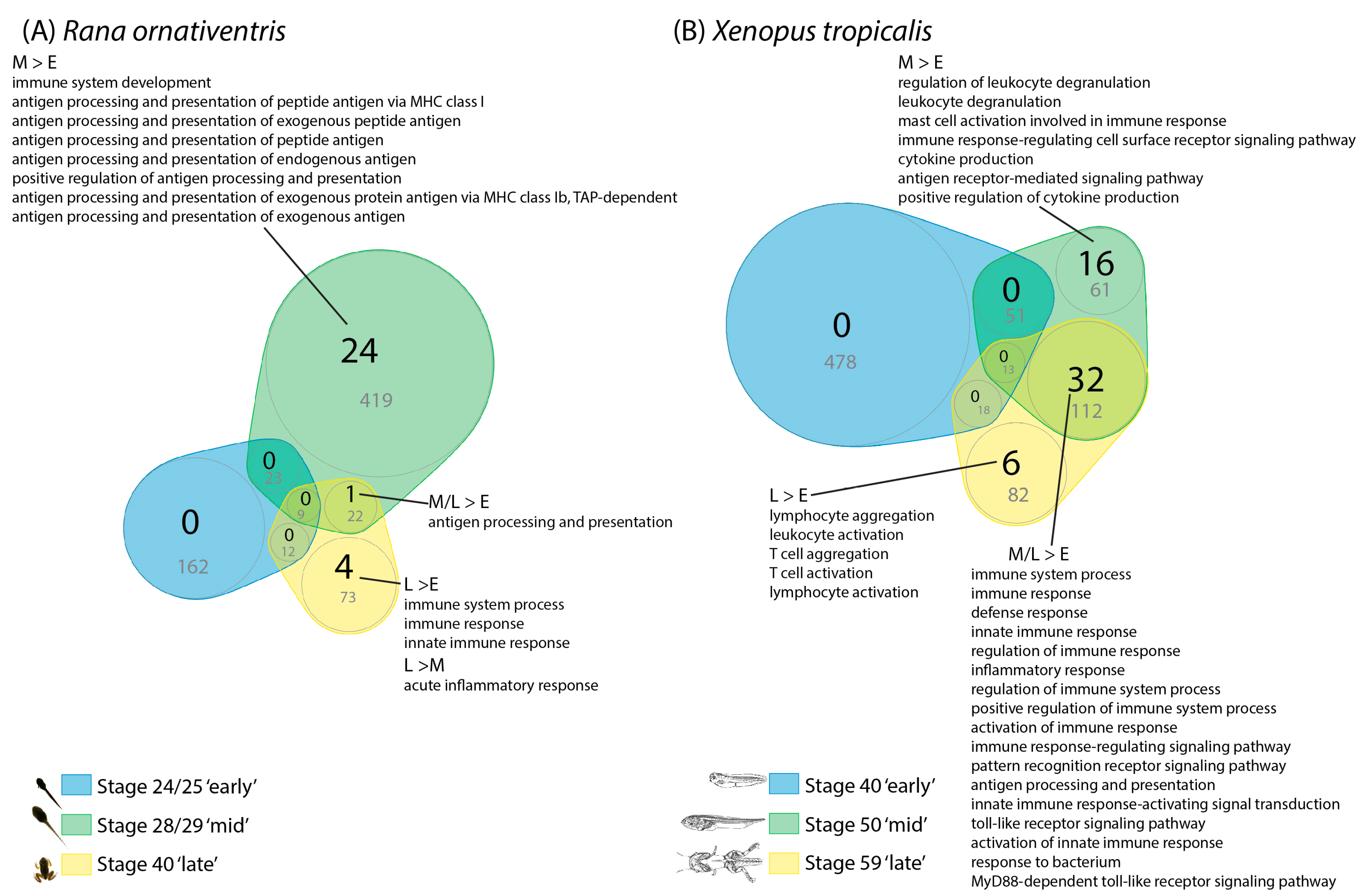 Animals 10 00091 g003