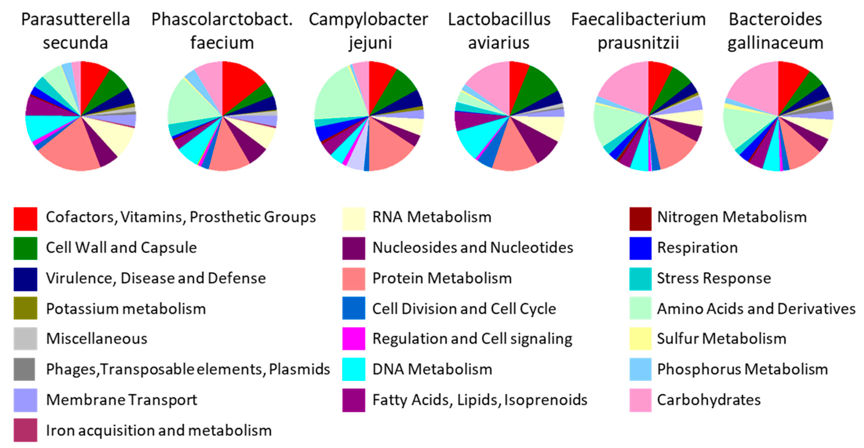 Animals 10 00103 g005 Animals 10 00103 g005