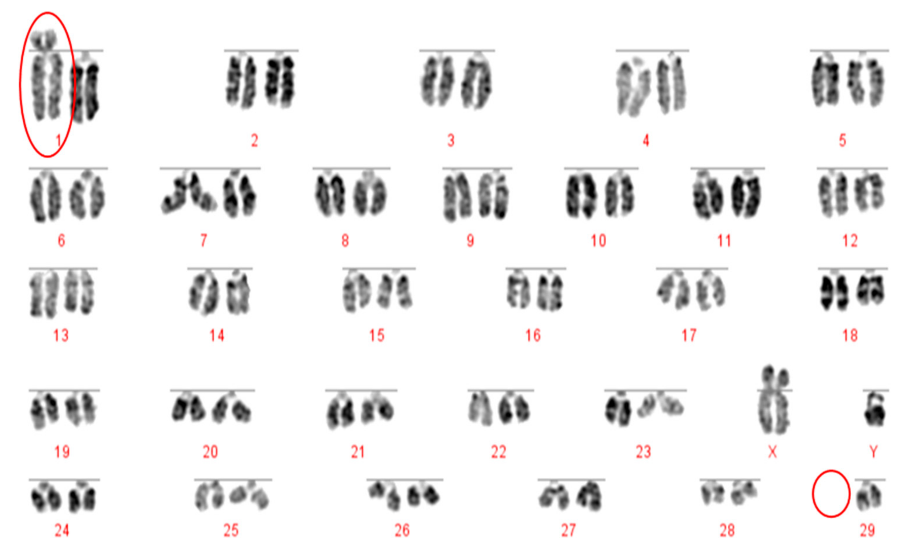 Animals 10 00114 g002 Animals 10 00114 g002