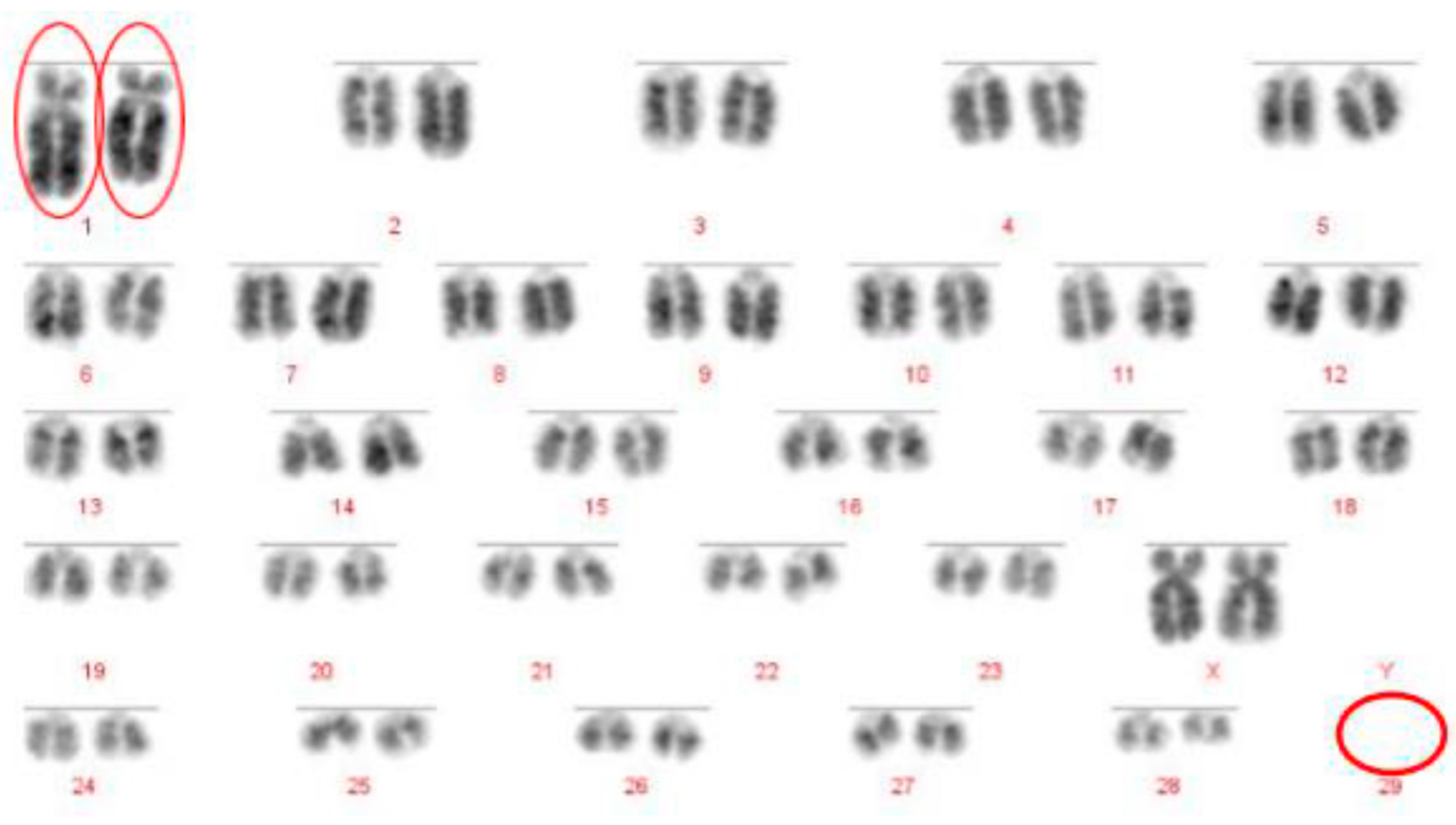 Animals 10 00114 g004 Animals 10 00114 g004