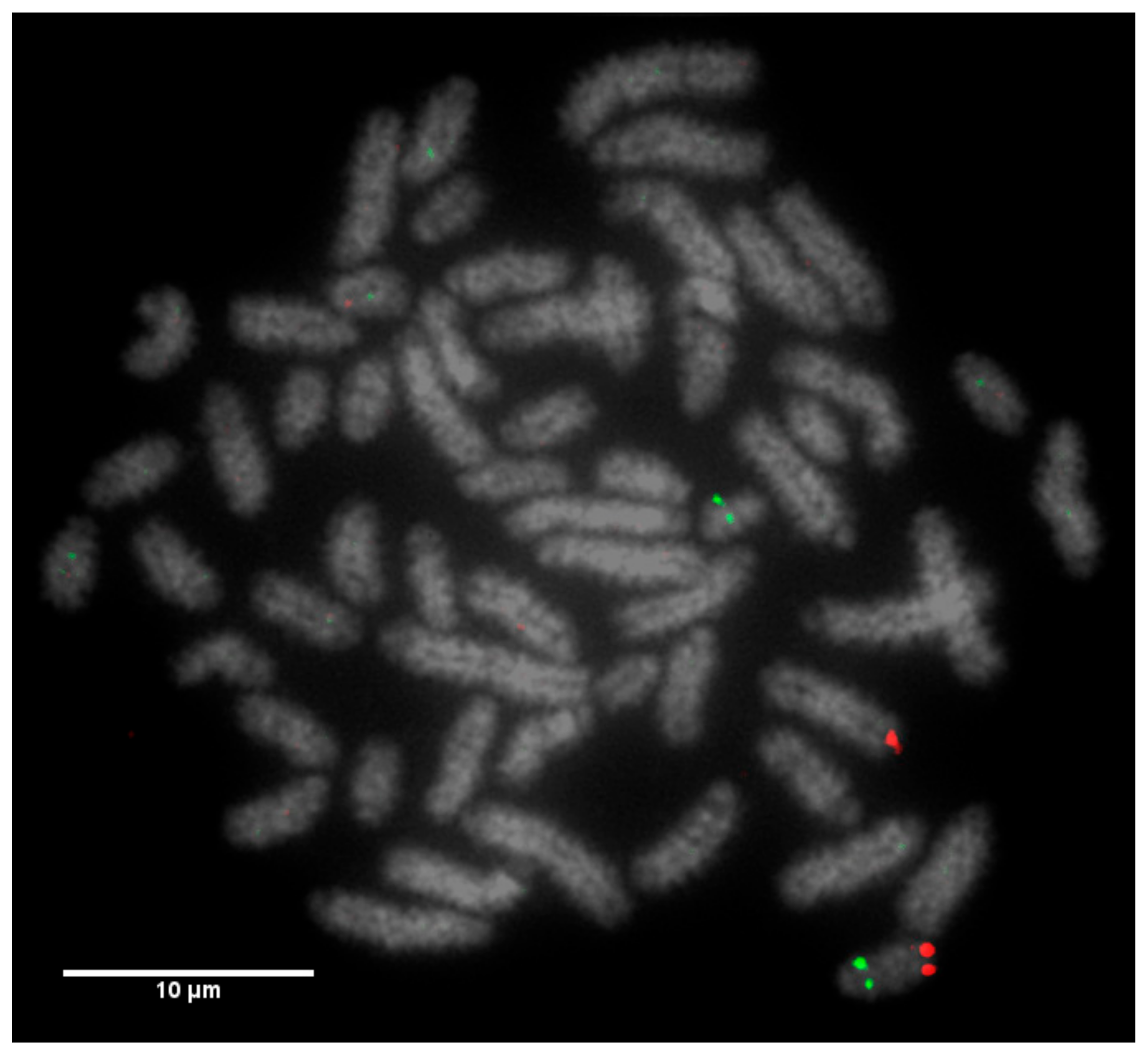 Animals 10 00114 g005 Animals 10 00114 g005