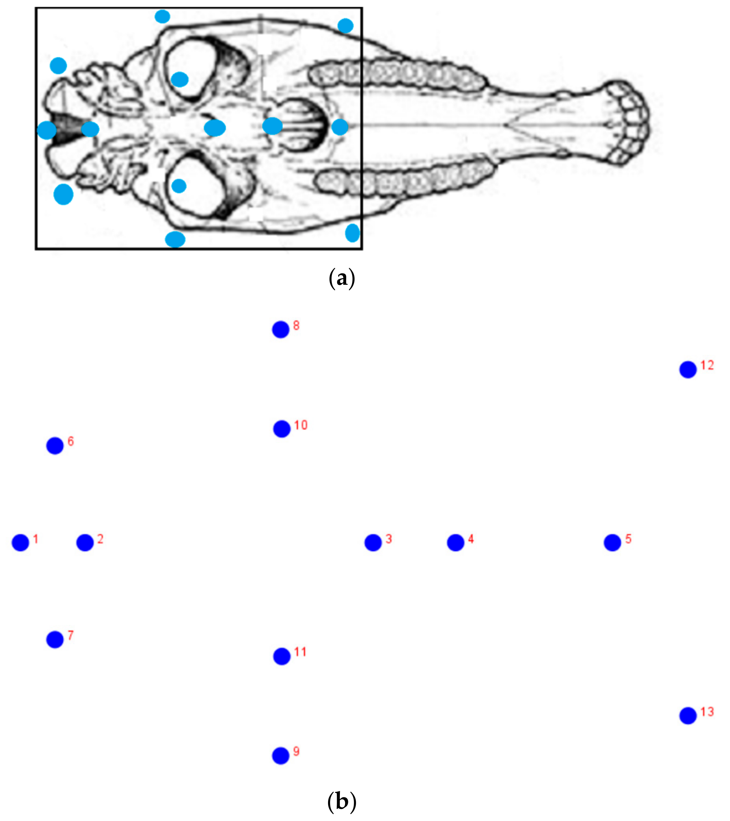 Animals 10 00118 g001